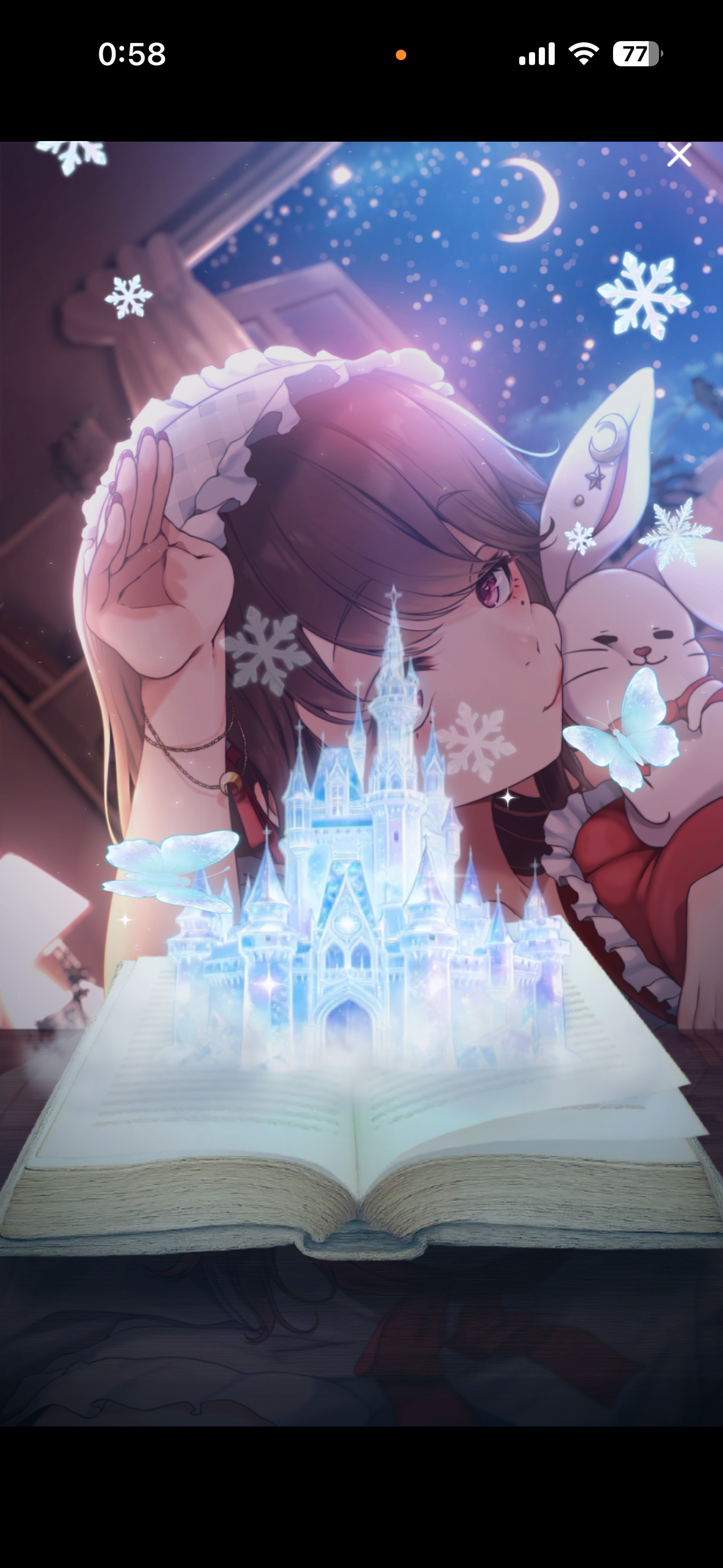 夜はここ！みんないらっしゃい！