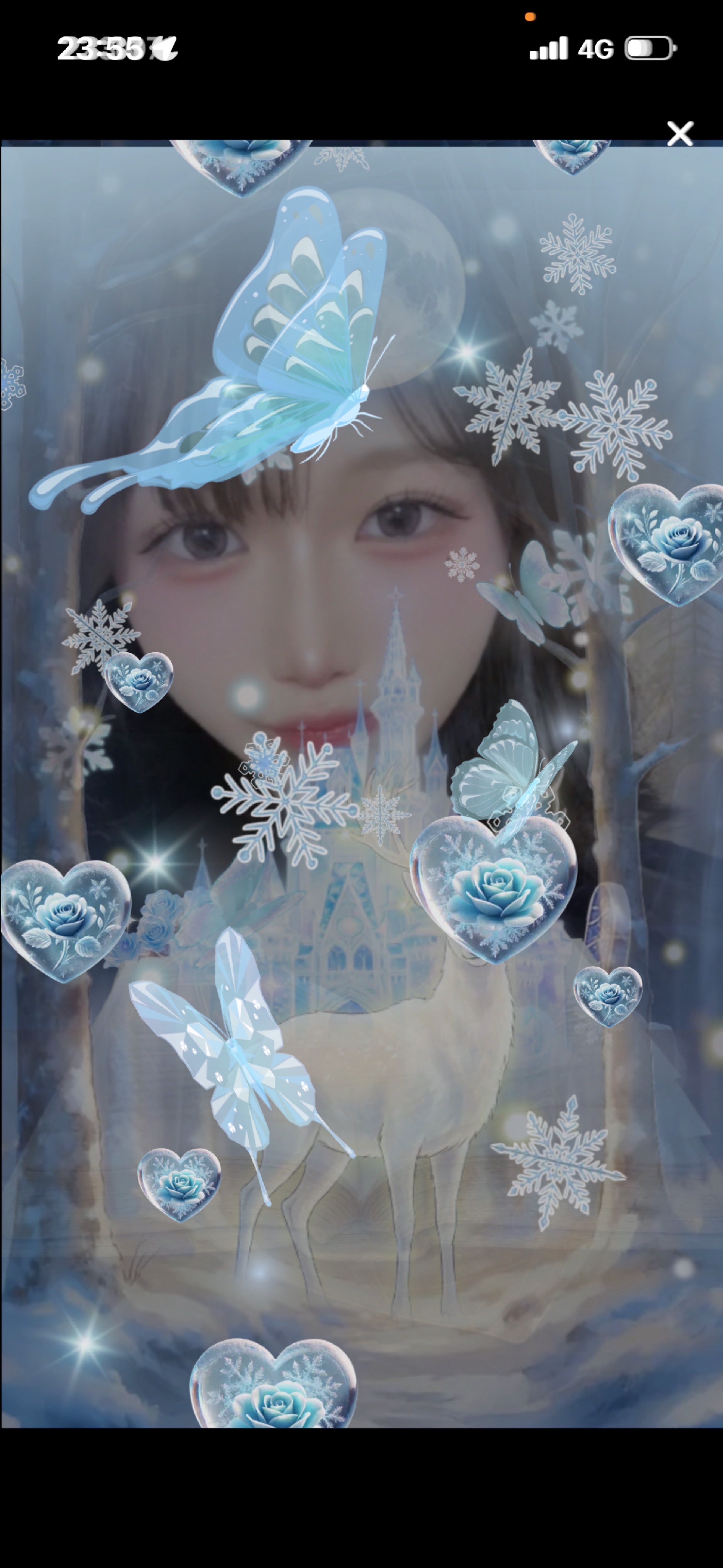 トーリス残14人‼️