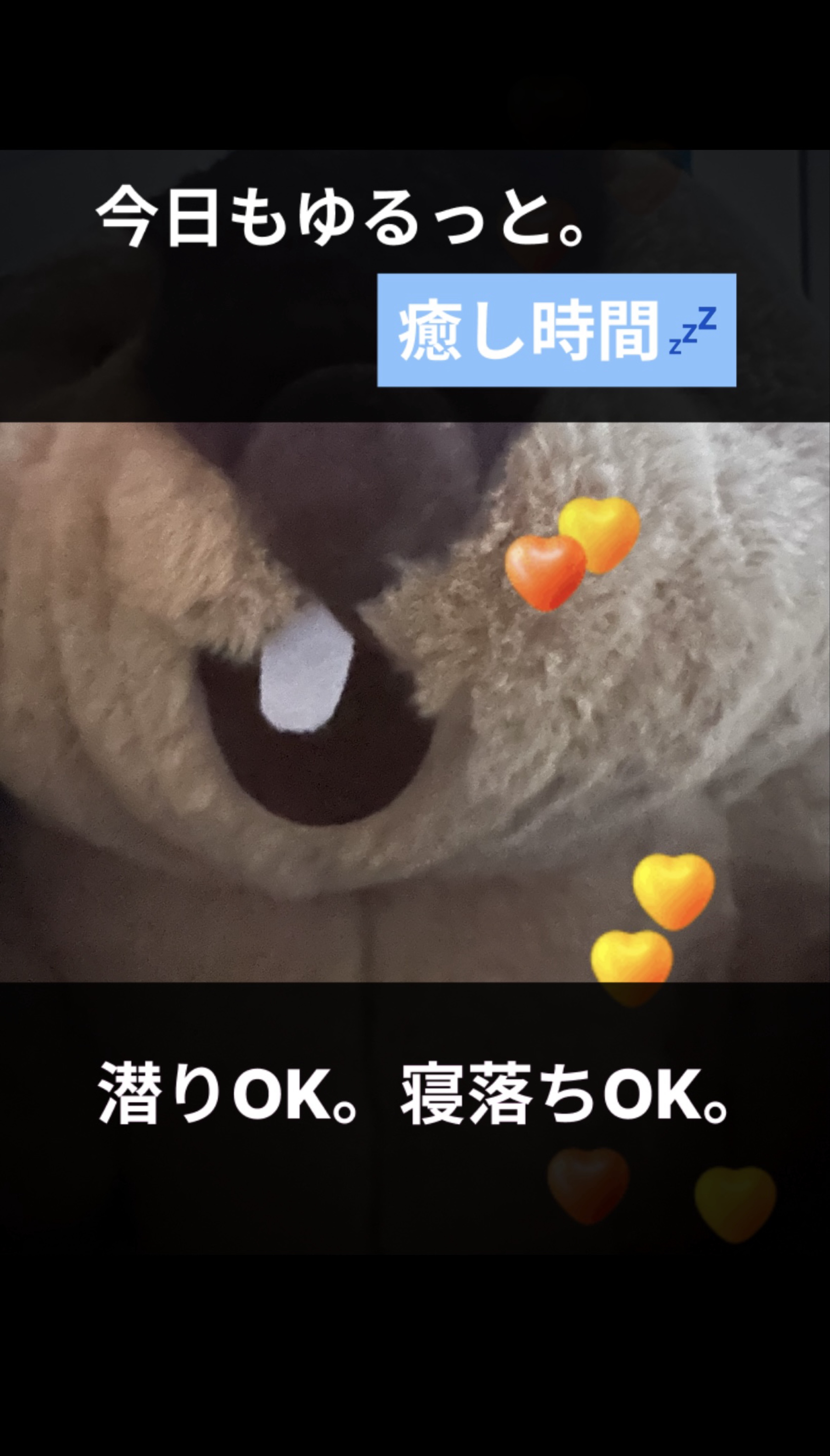 オイラ、やまもとです🔥