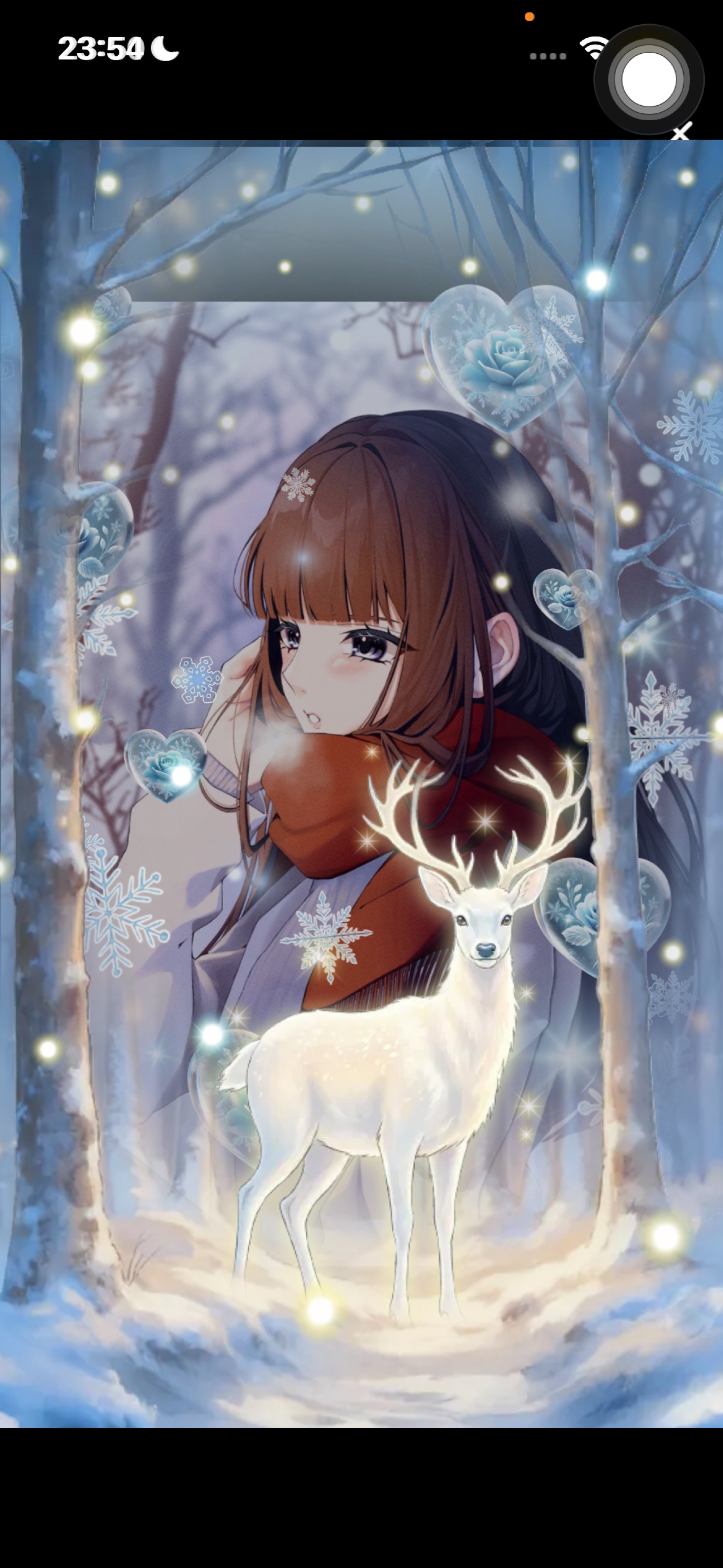 おやすみって言わせて𓂃 𓈒𓏸◌