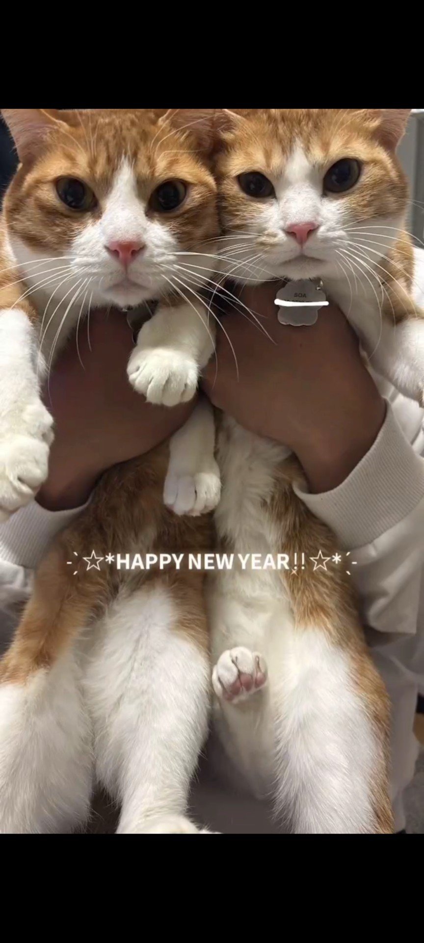 #2話しましょ？