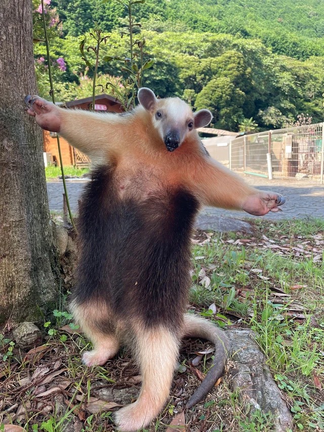 初潜🙆‍♀️今月ラスト‼️