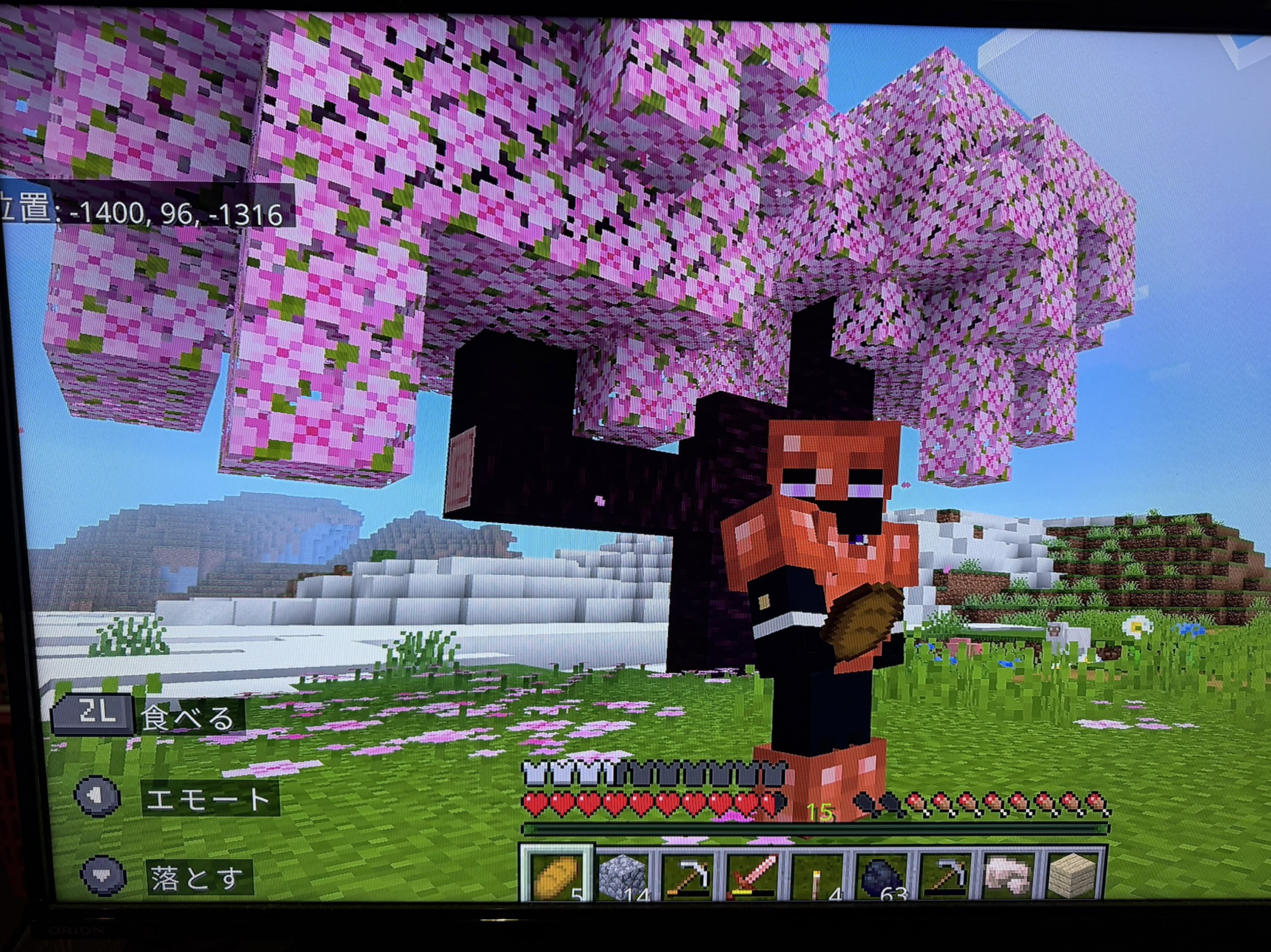 土曜日のタッチダウン