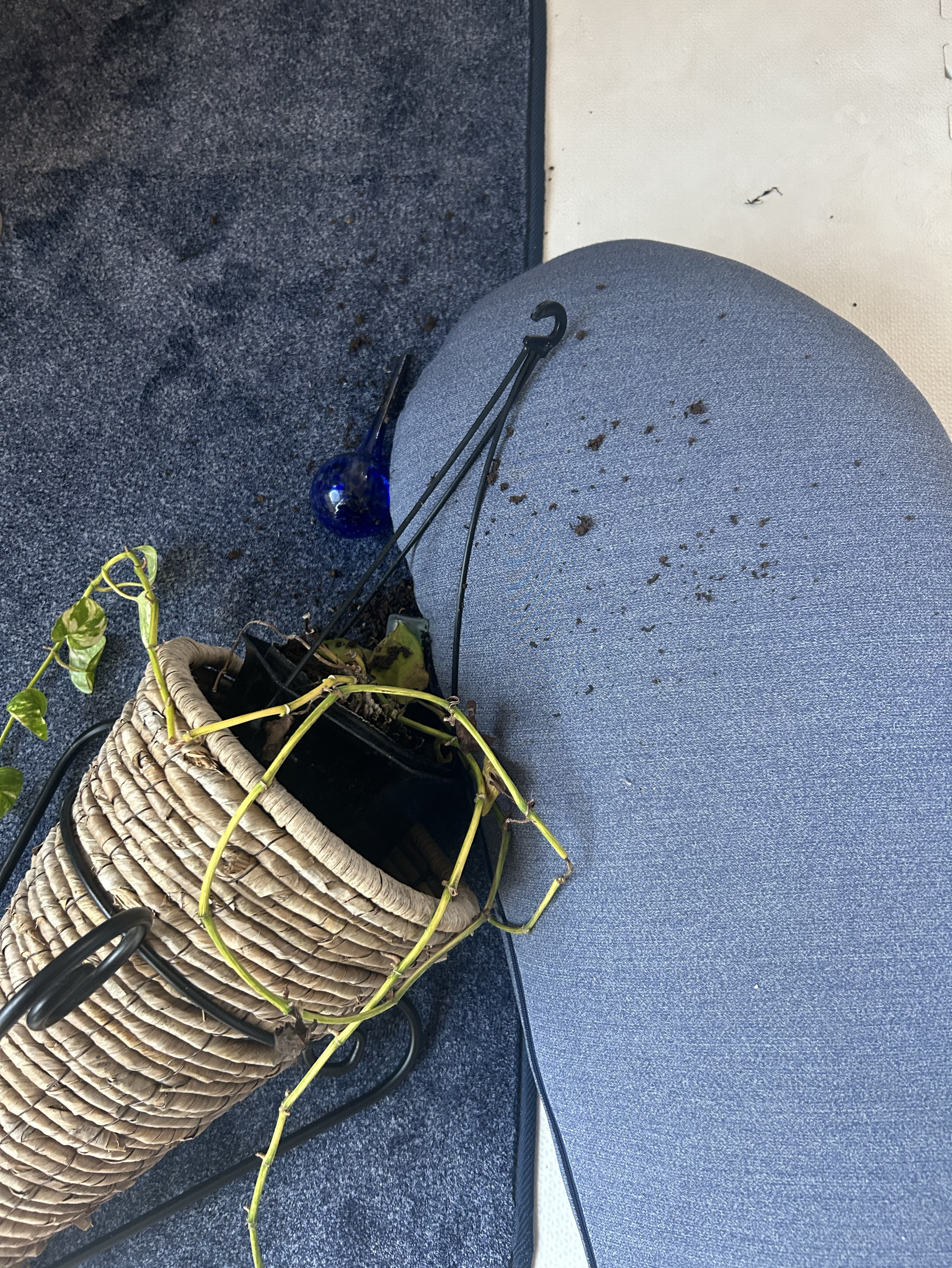 ボイスありがとう