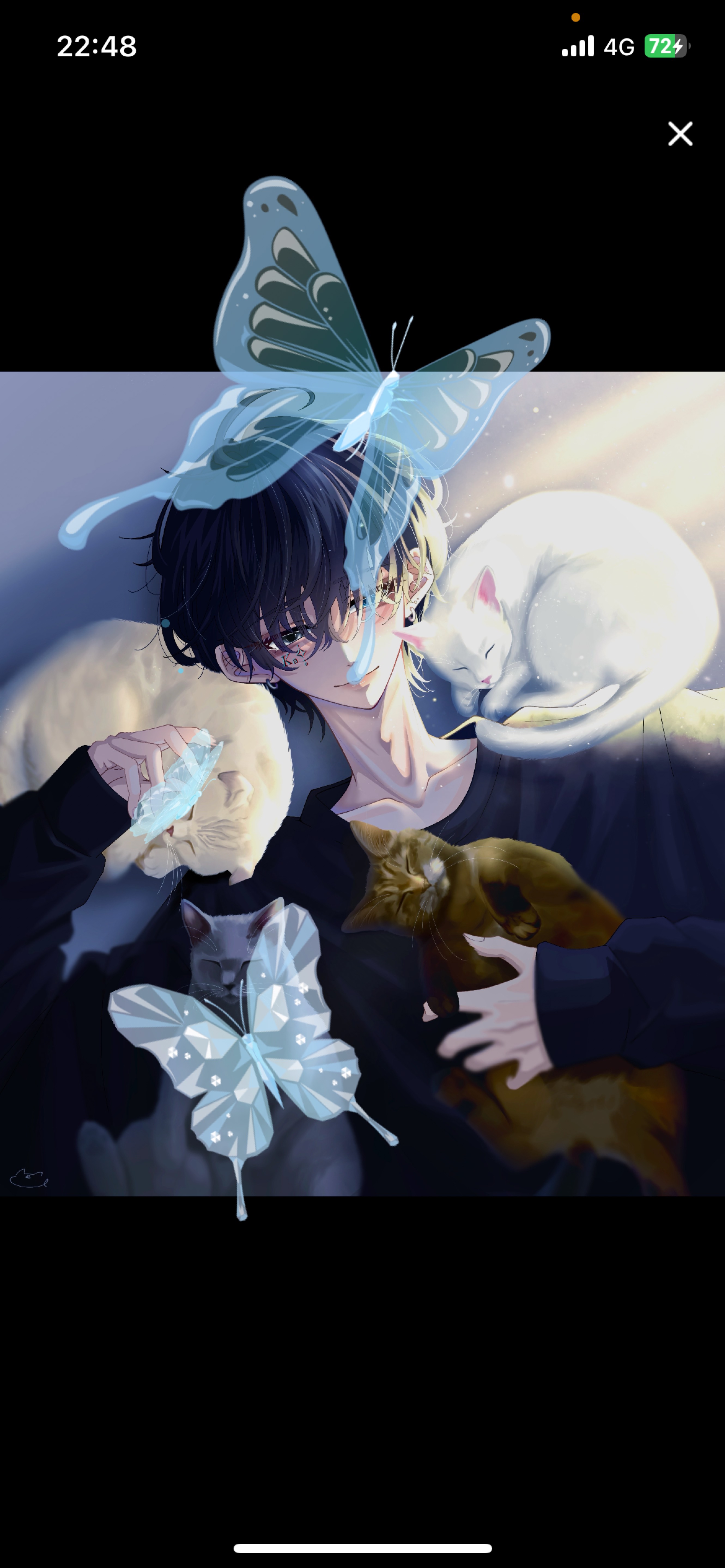 貴方の居場所 𓂂𓏸