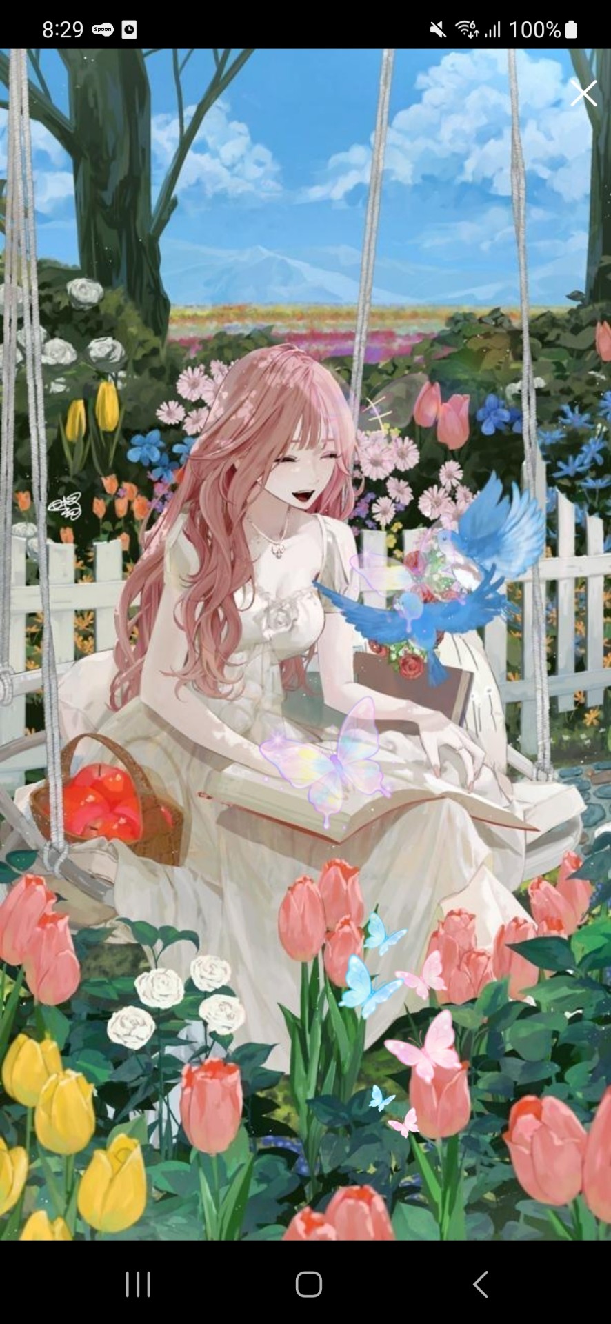 -9:00 初潜◎朝の30分🌷.*