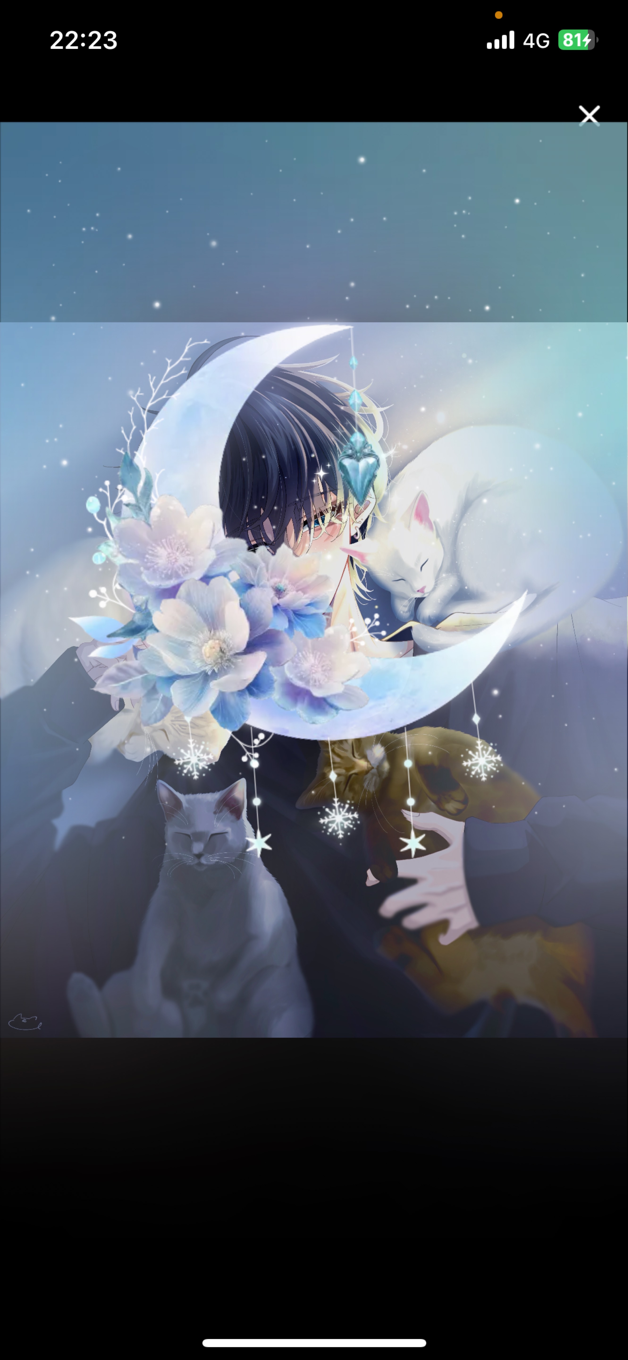 貴方の居場所 𓂂𓏸