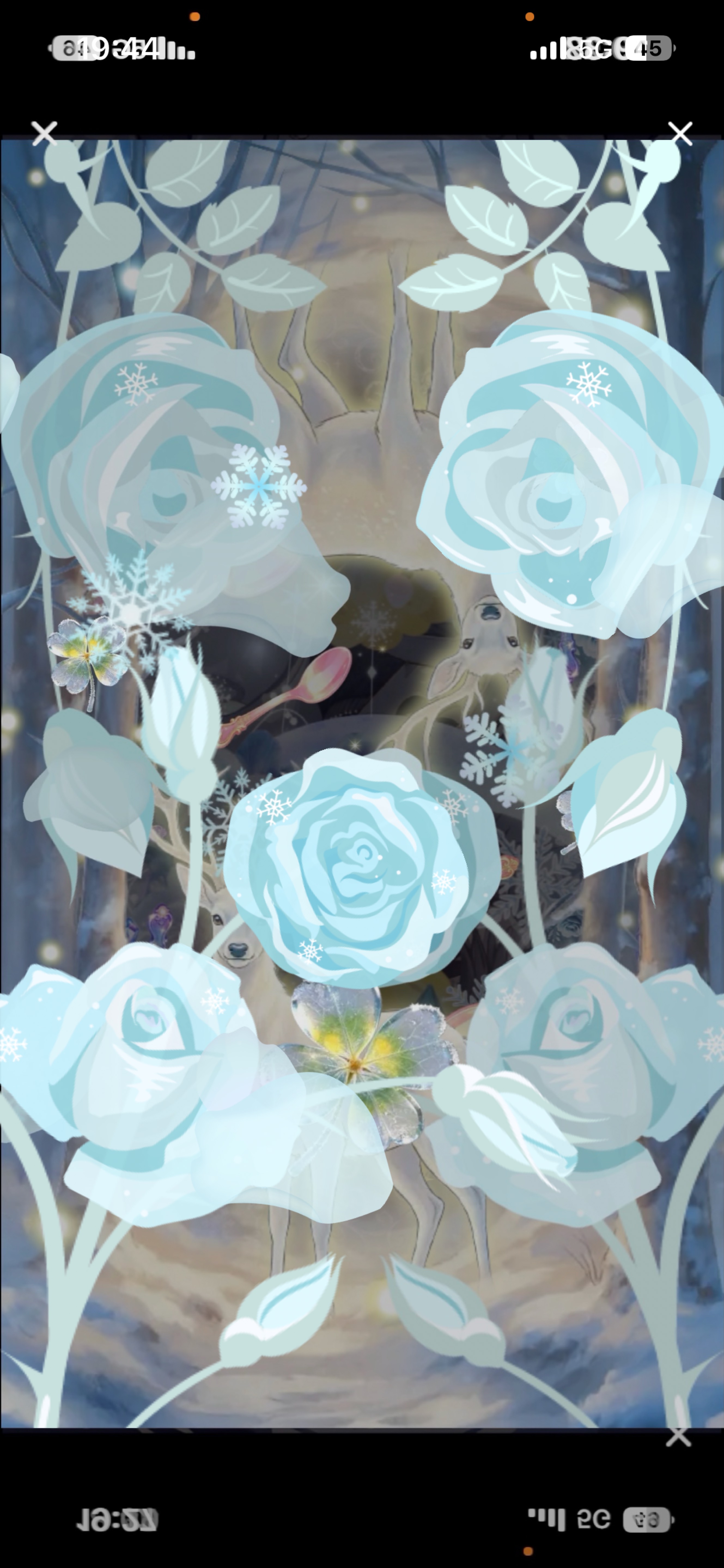 おいでおいでー！