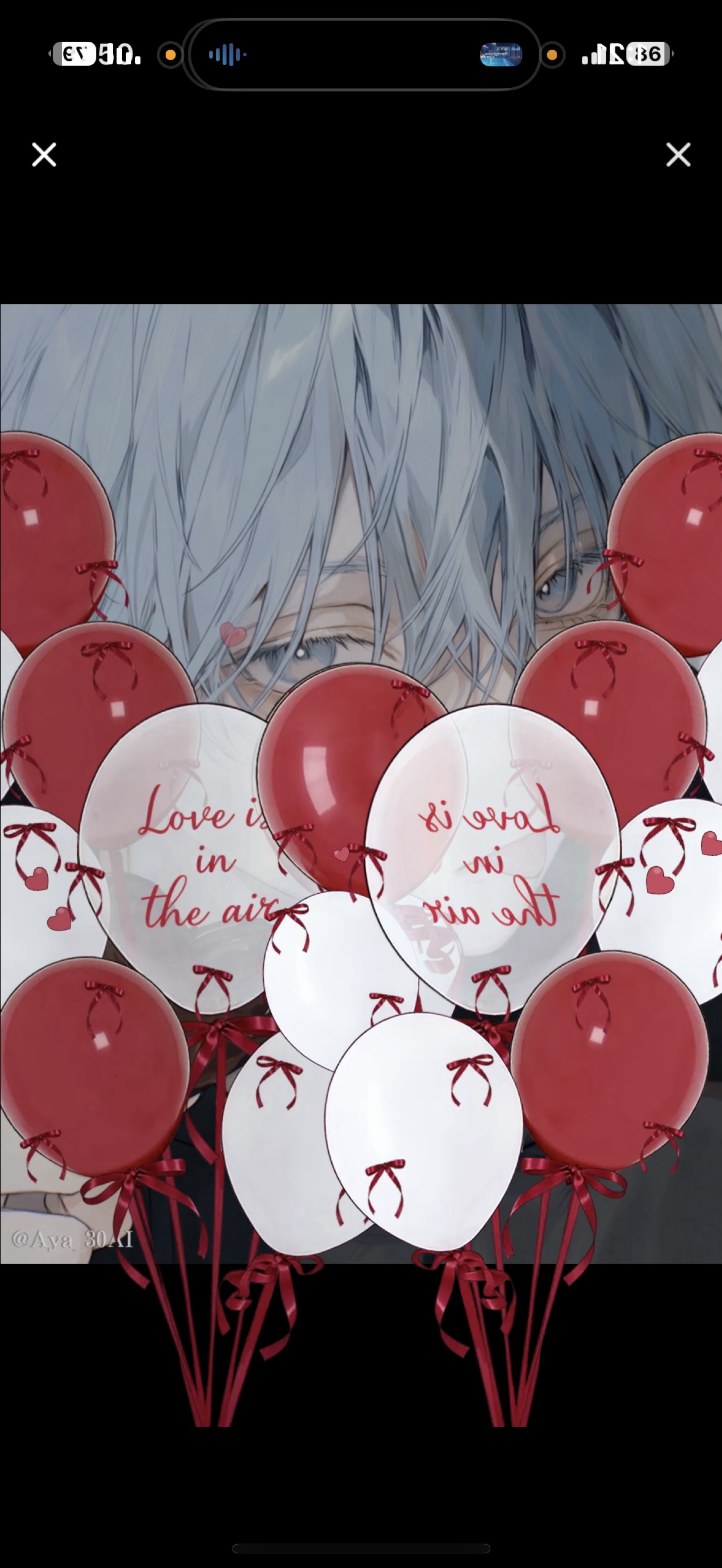 初潜〇僕の🟦バッジしりませんか？