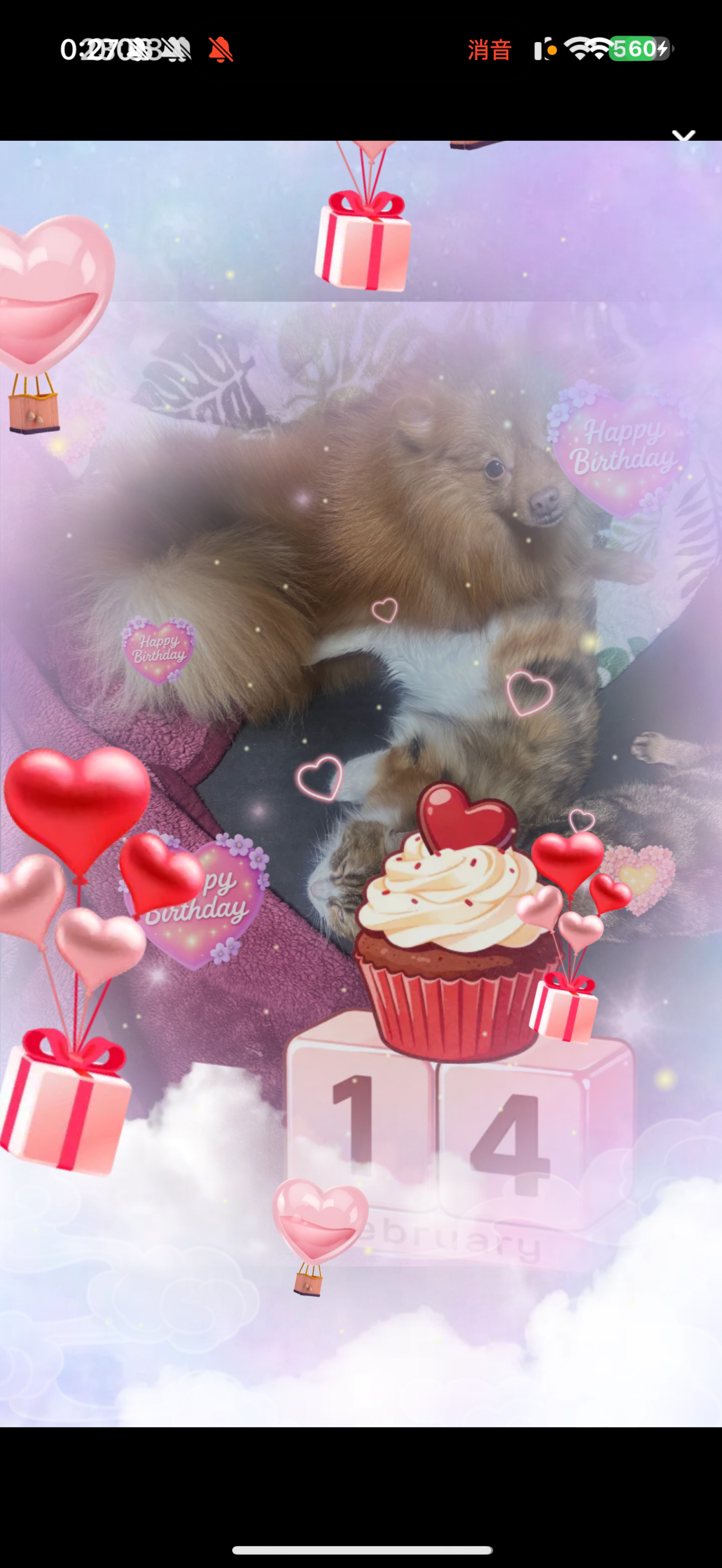 2/9    1缶付き合えよ