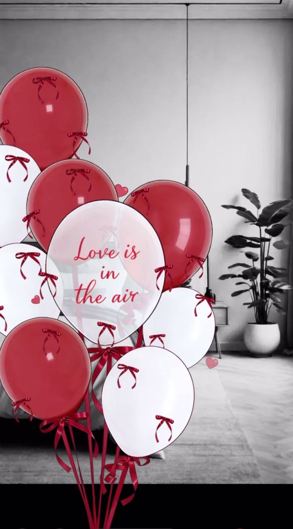 寝落ち雑談𓂃𓈒𓂂