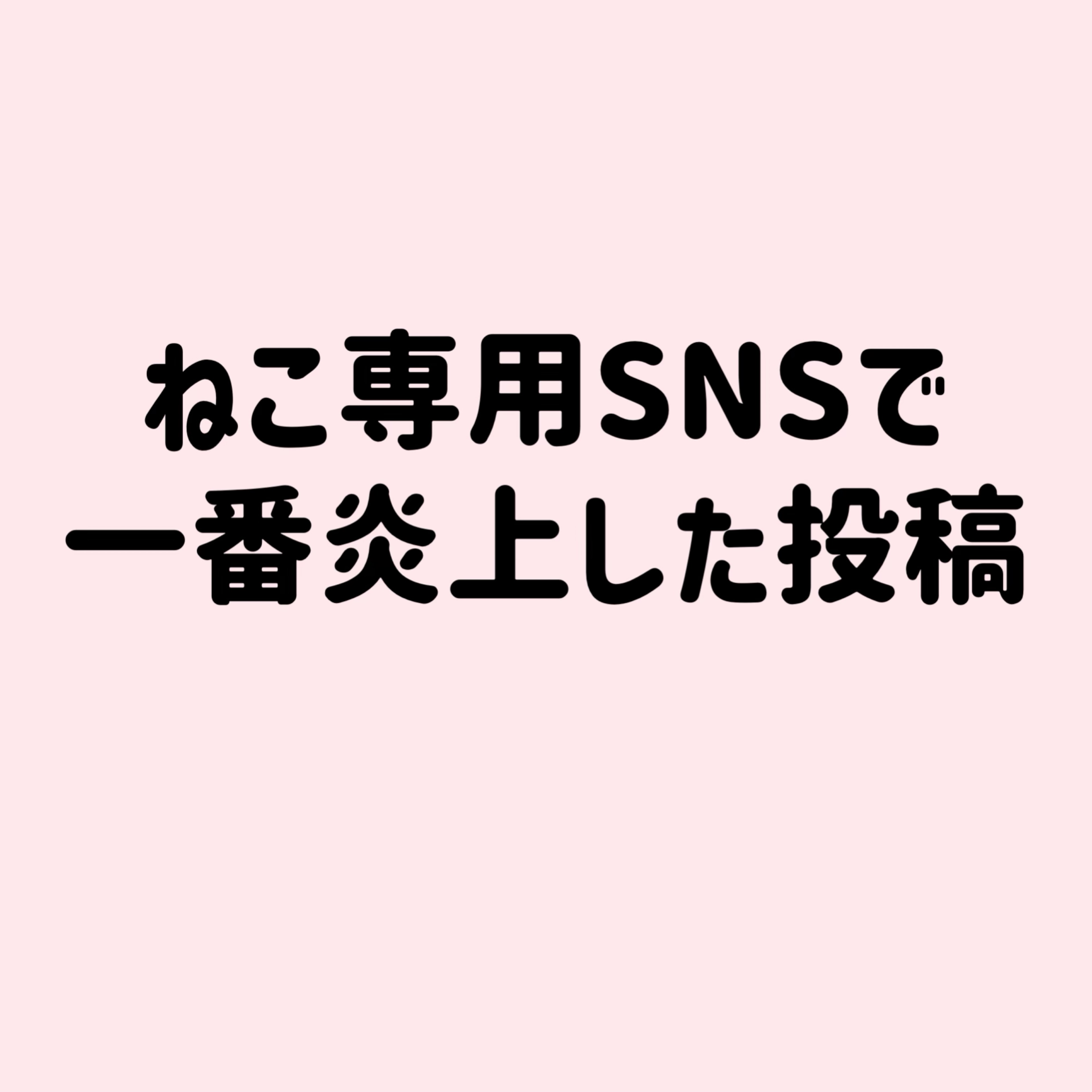 19:00雑談×ﾄｰﾘｽ100人目標✊🏻