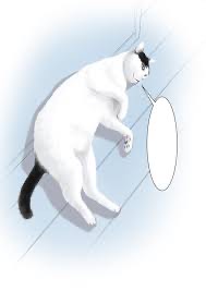 無言はおち◎:ま〜ったり夜を楽しむ🎶