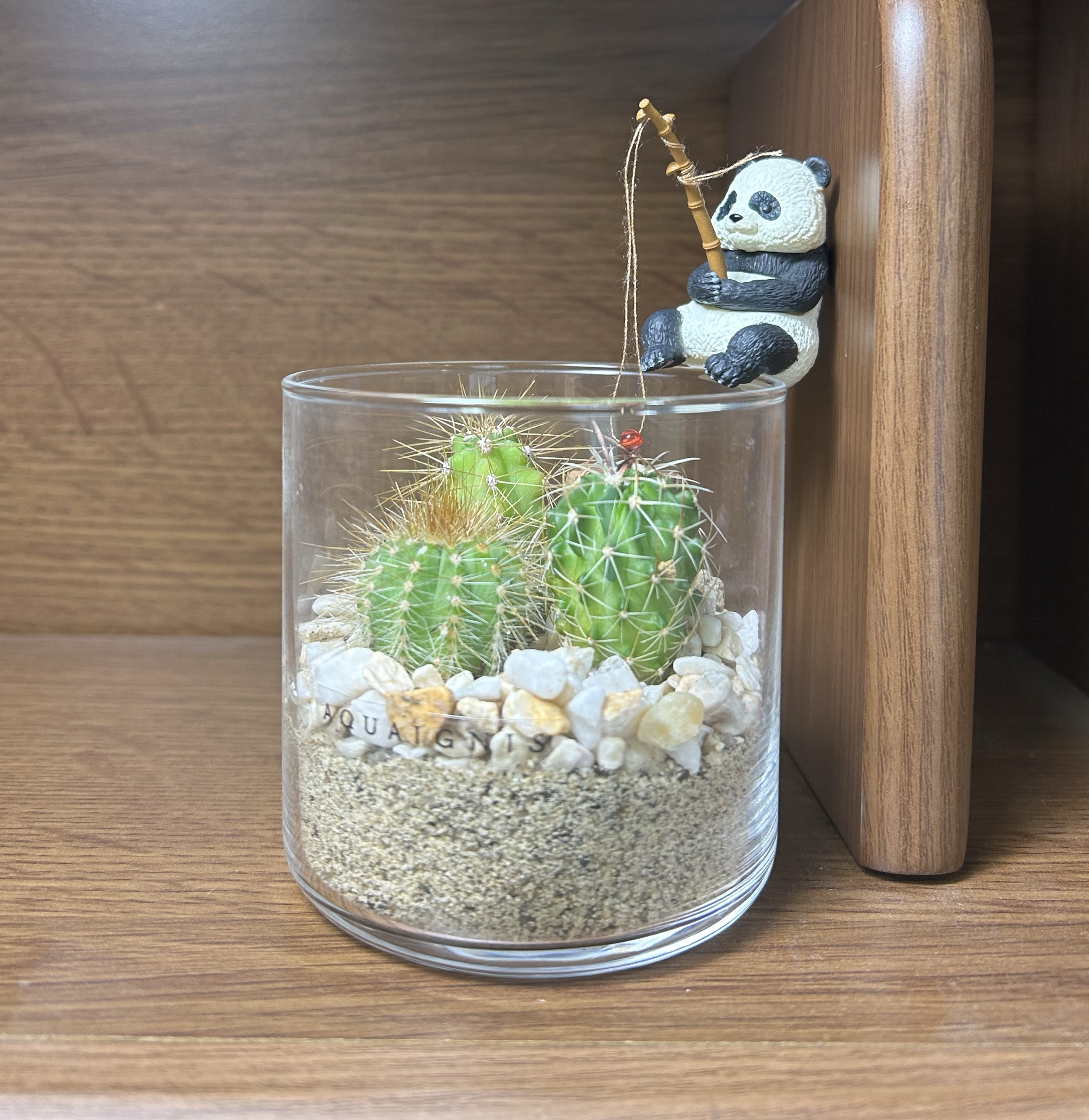 弾き語りたい！