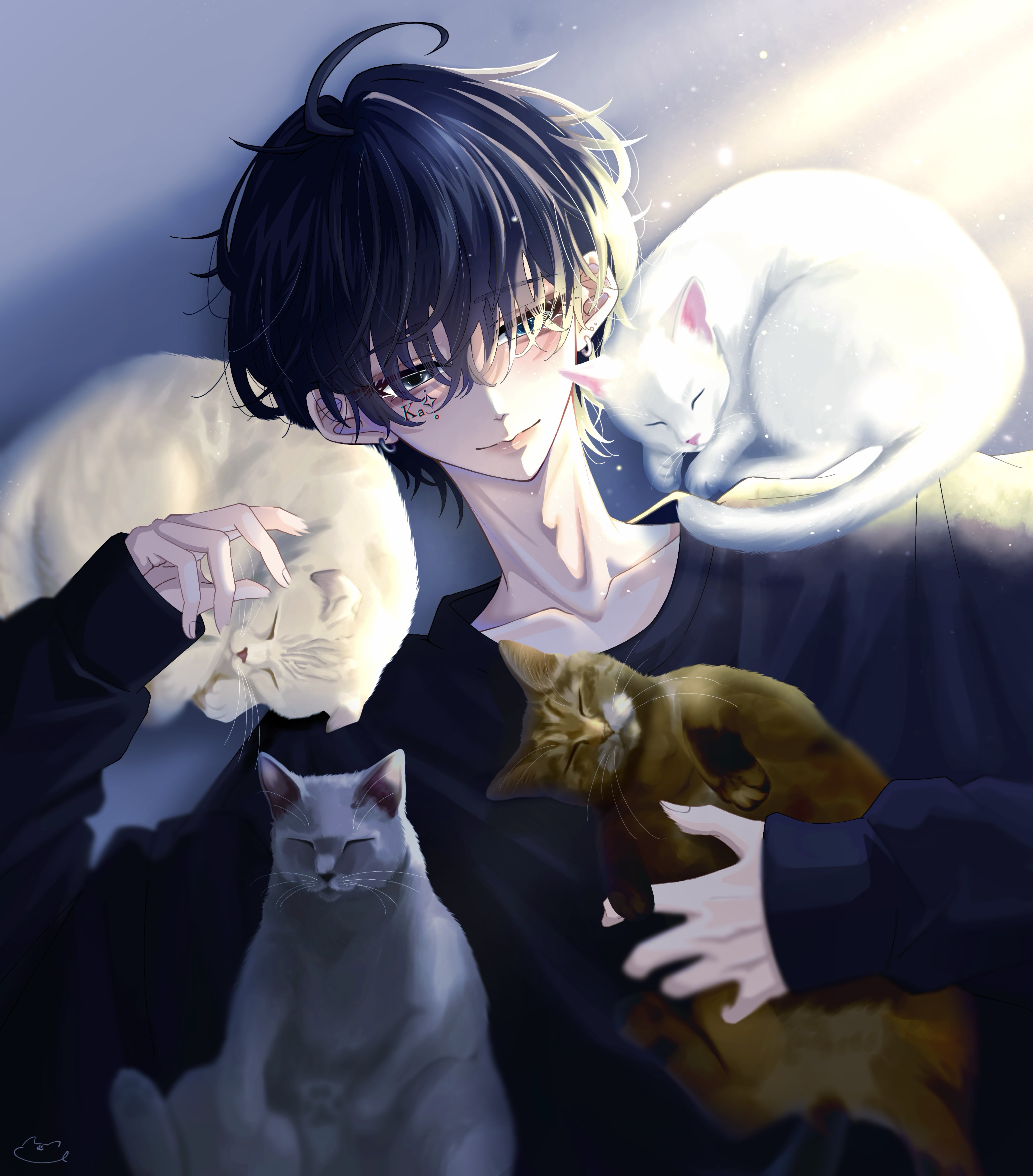 貴方の居場所  𓂂𓏸