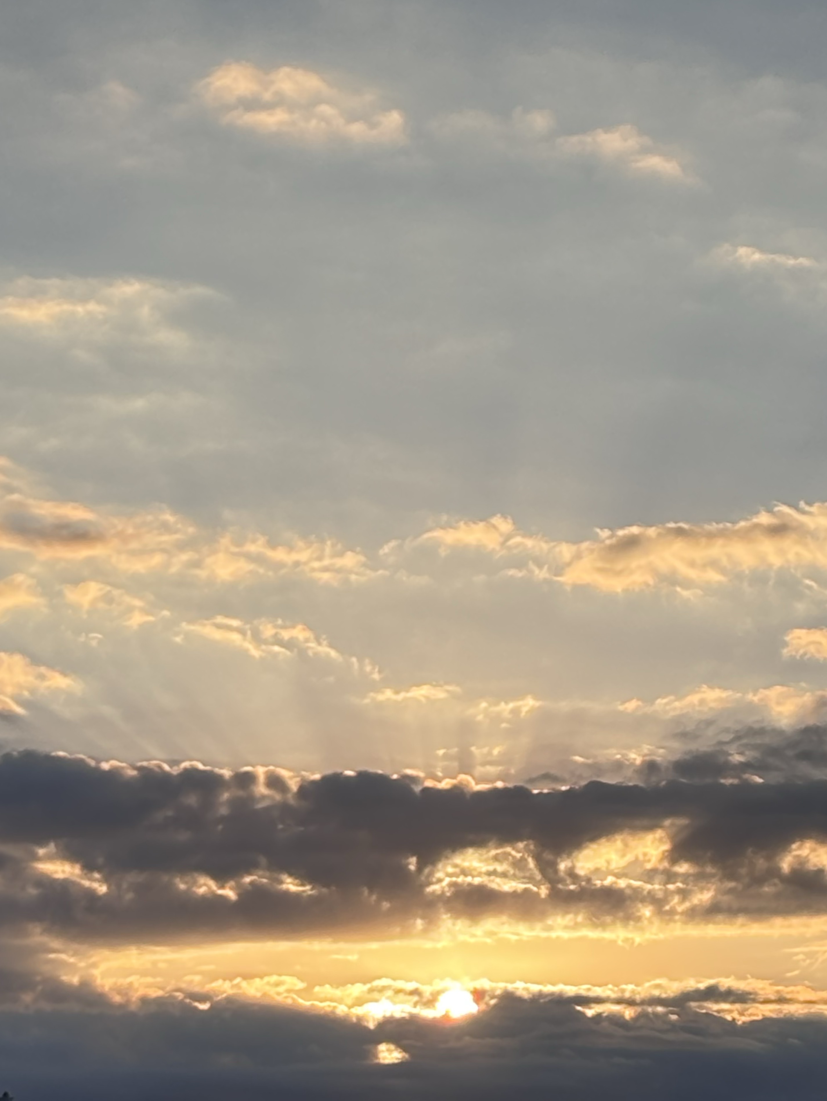 ギタギタにしてやる🎸