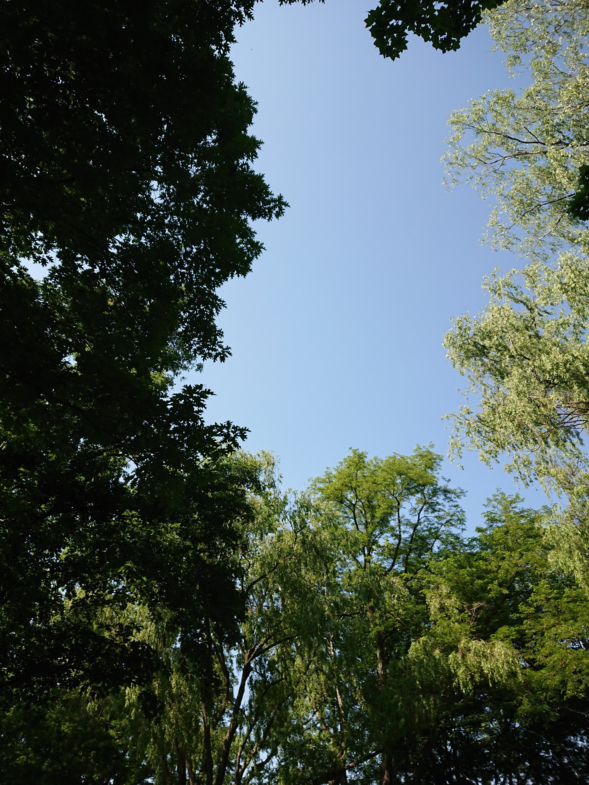 ちょっとギター練習