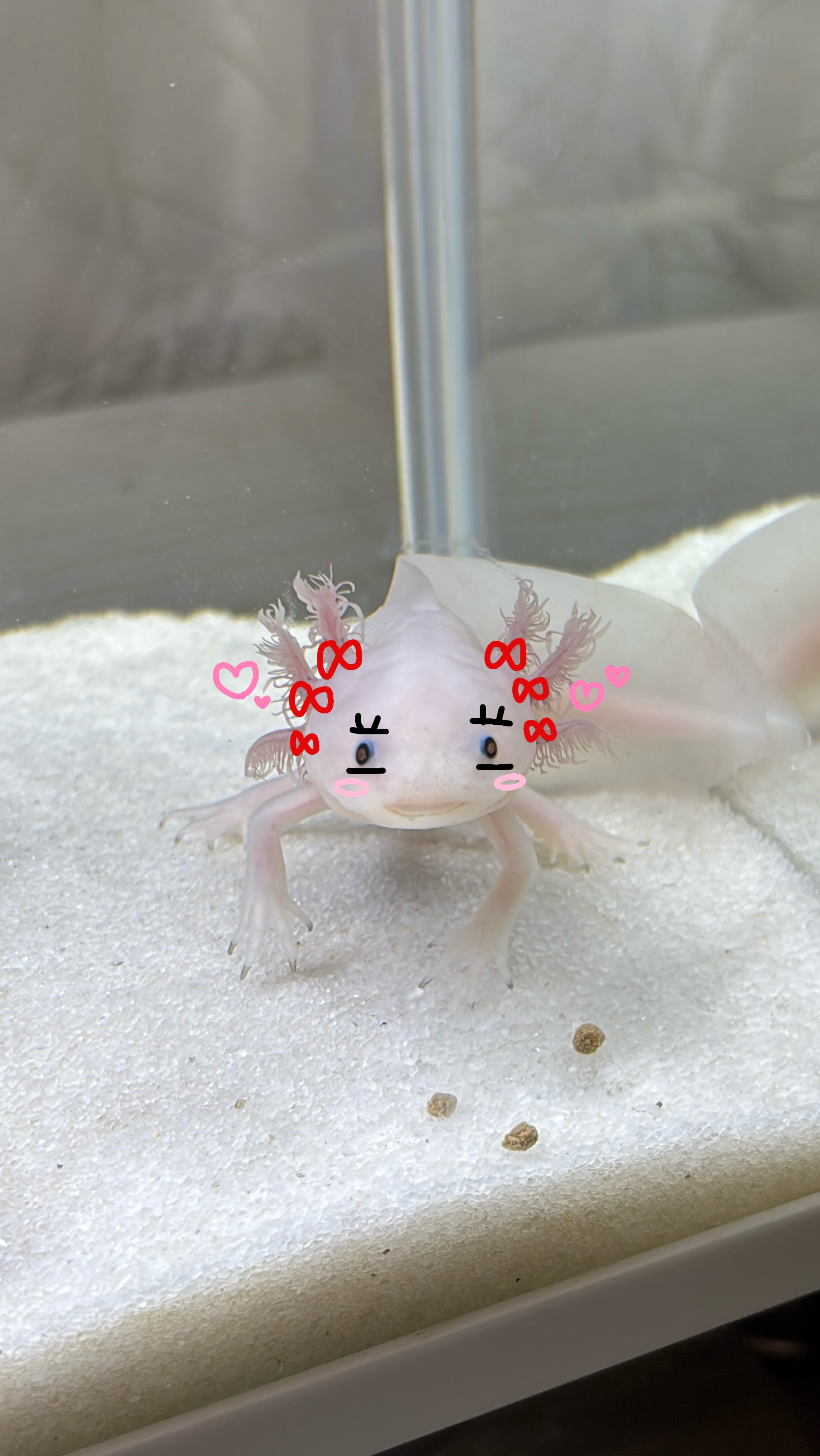 お昼はここ！みんないらっしゃい！