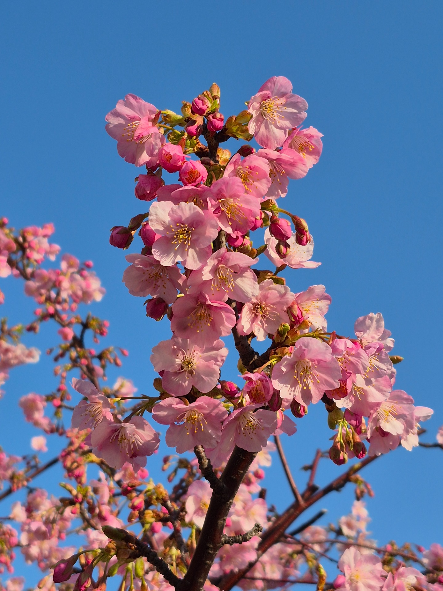ほりごたつ ～ソロギターをゆるりと～