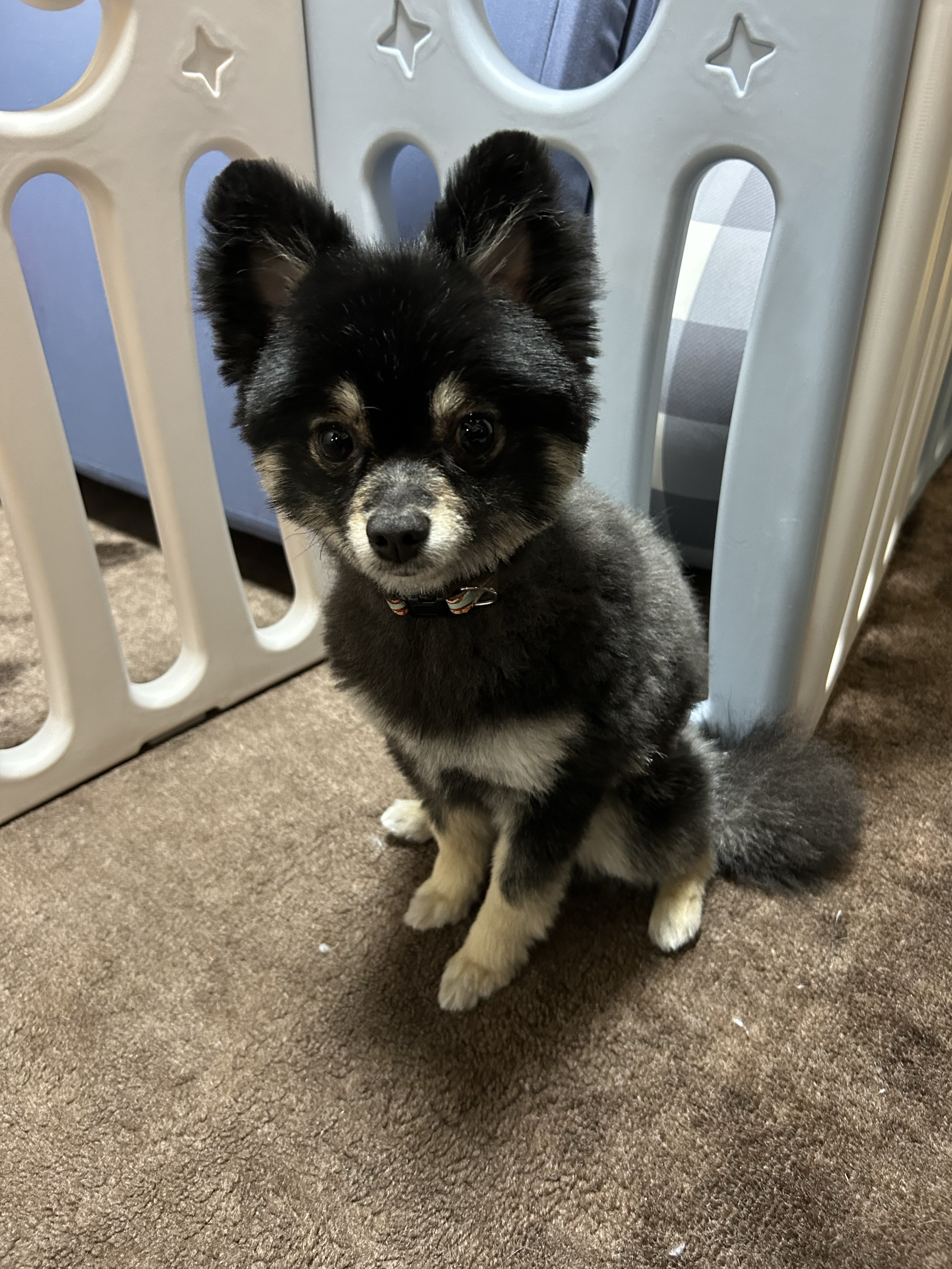 中低音/介護福祉士 元気×まったりを