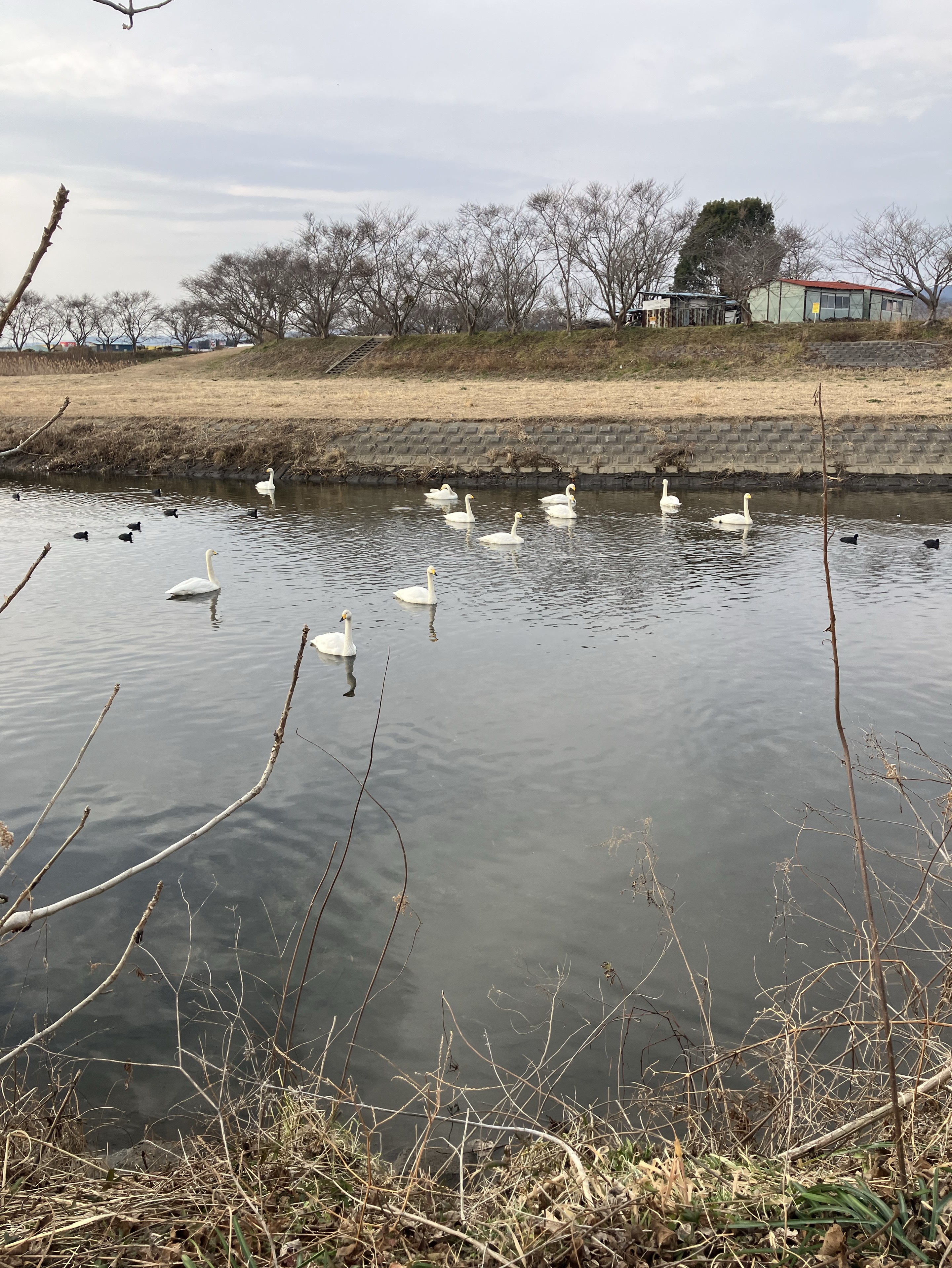 アコギ弾き語り