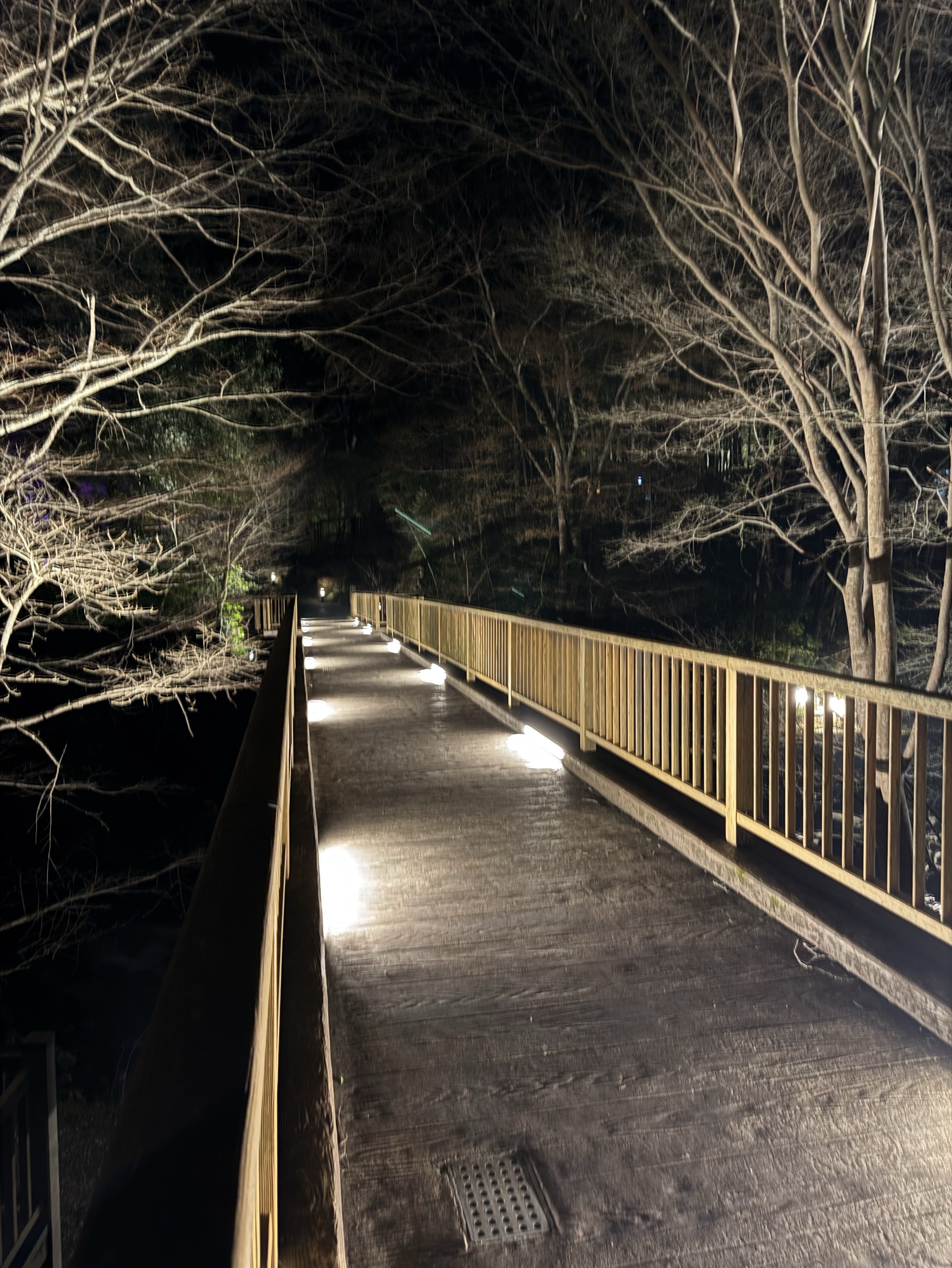 高校生ラジオやけん