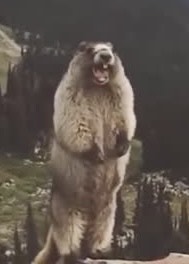 目、あったね👀❕