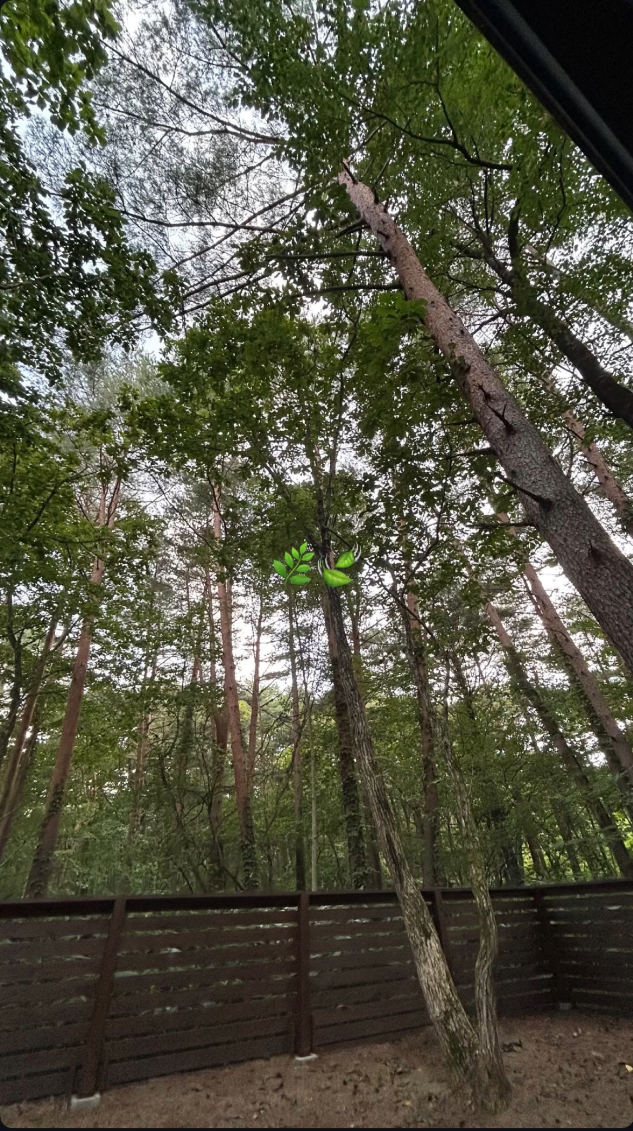 適当に弾き語り