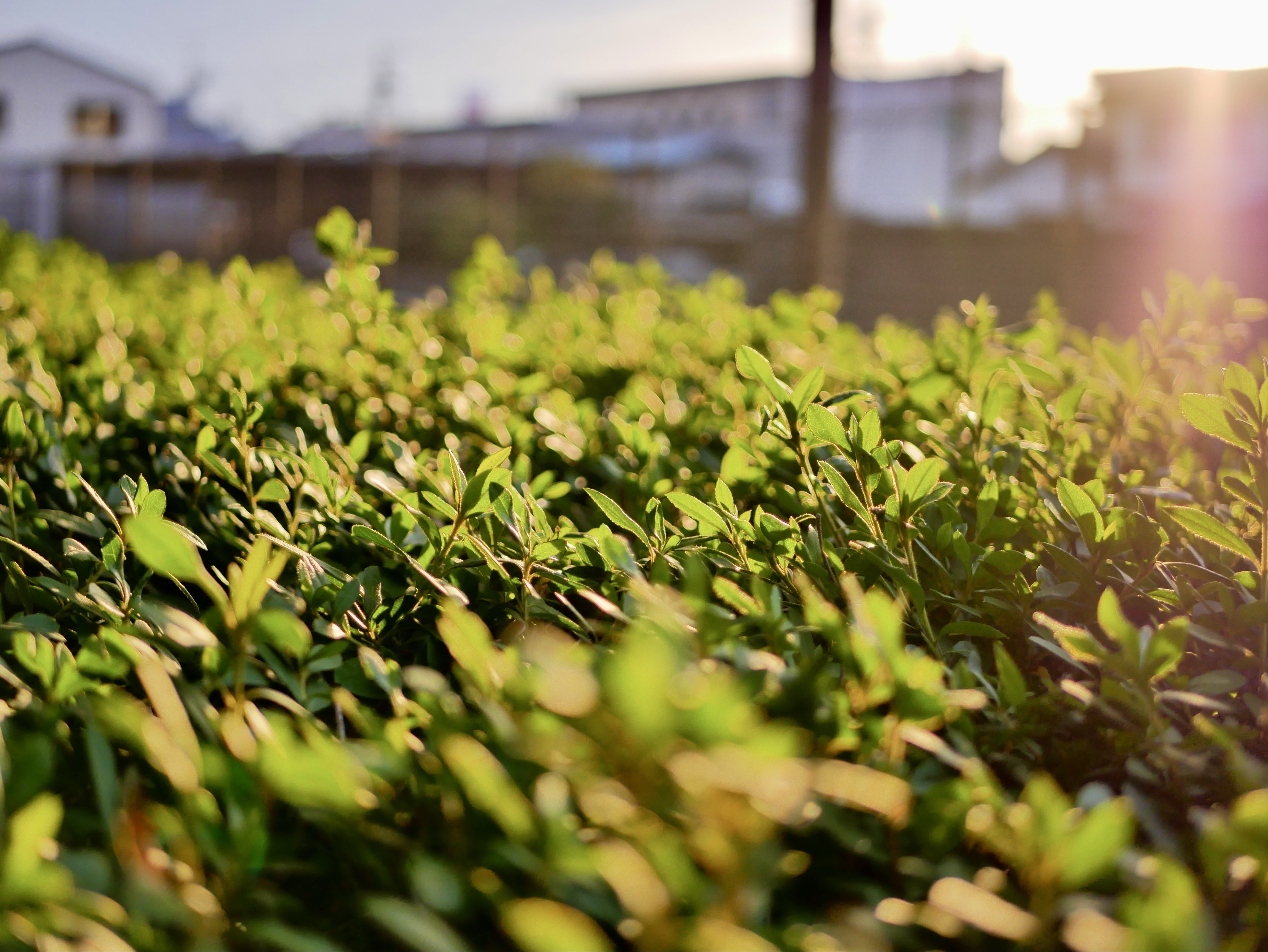 カメラが好きな人の為のラジオ