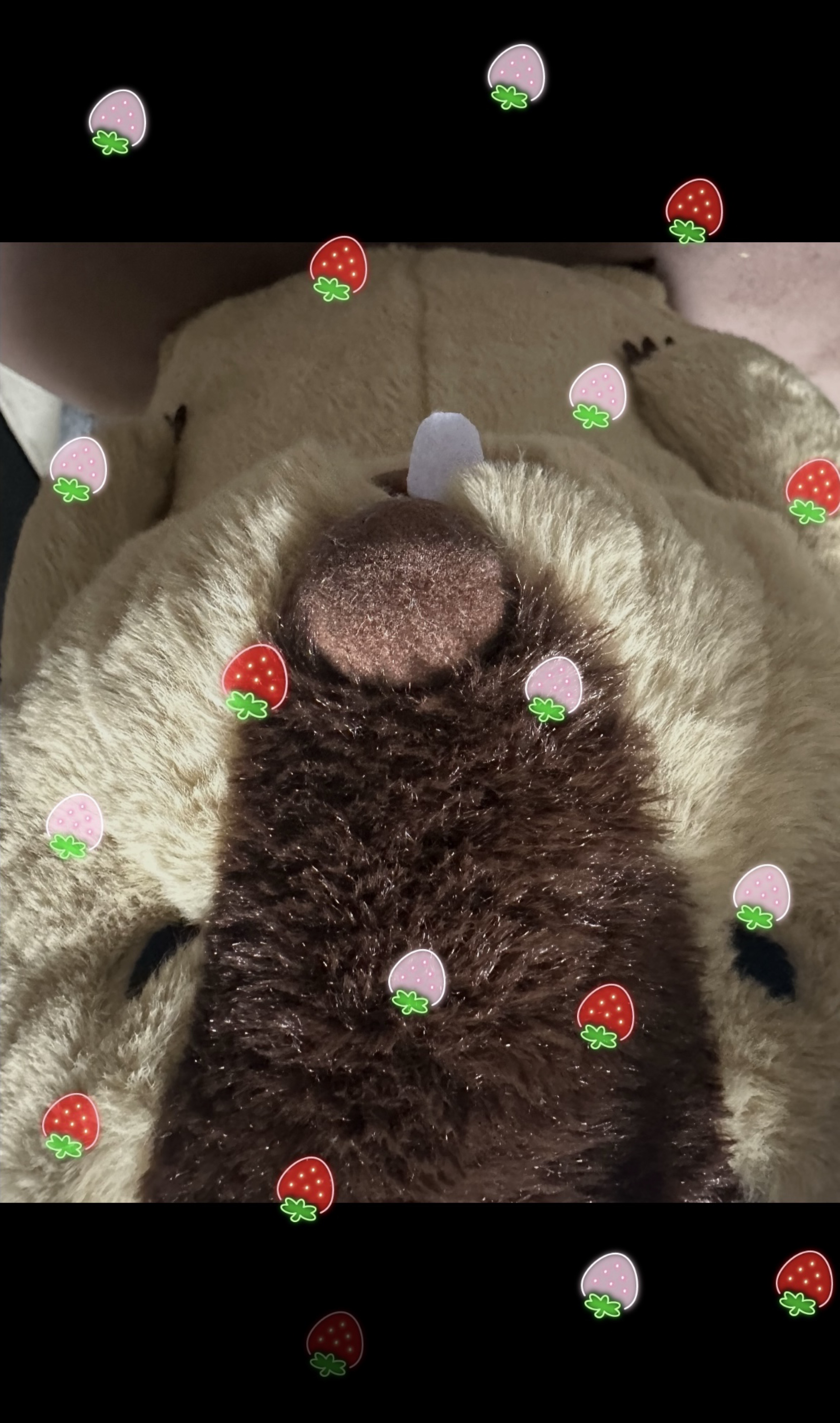 𝑨𝒊𝒎 𝒉𝒆𝒊𝒈𝒉𝒕𝒔