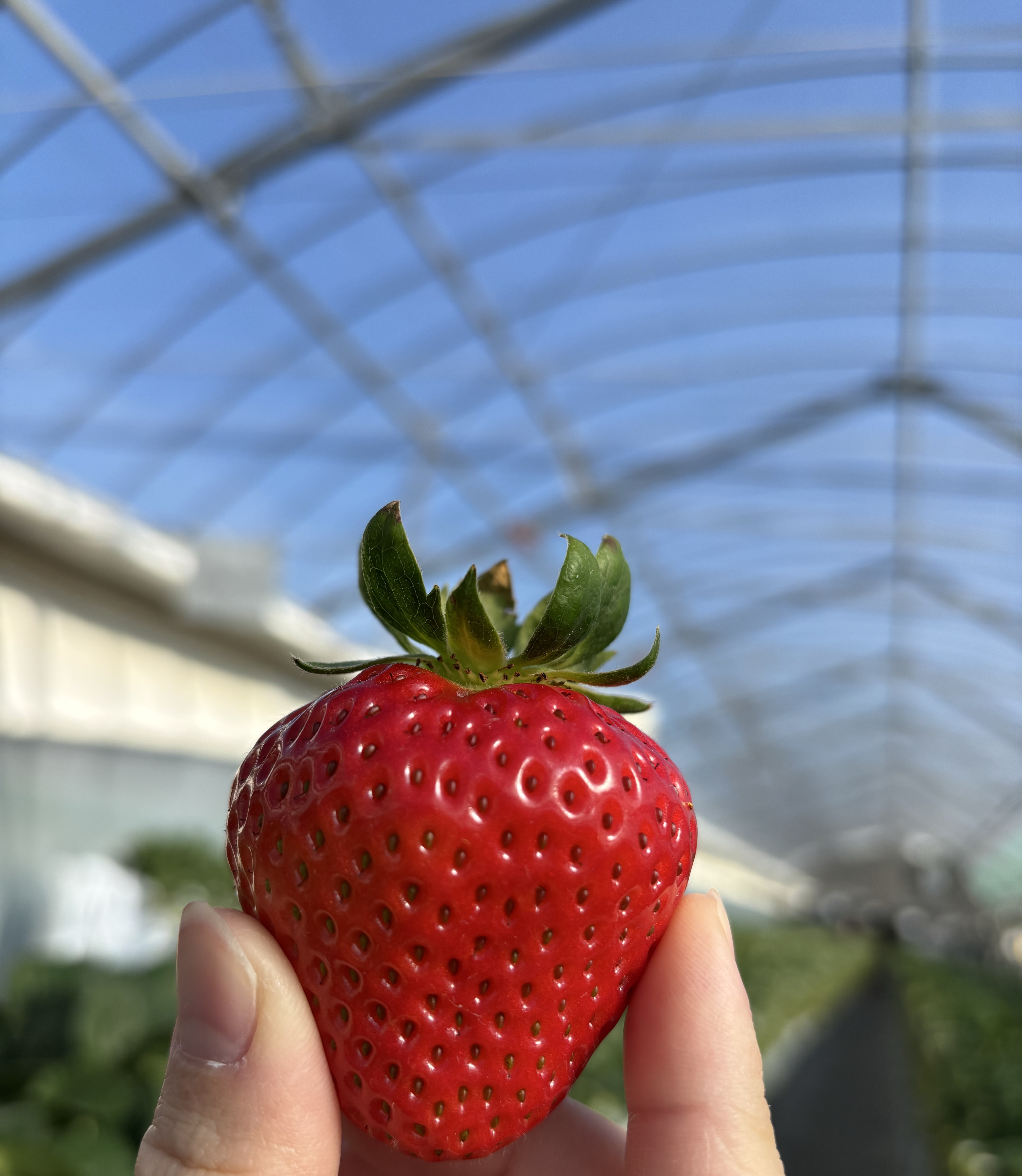 ギターれんしゅう🎸🔰