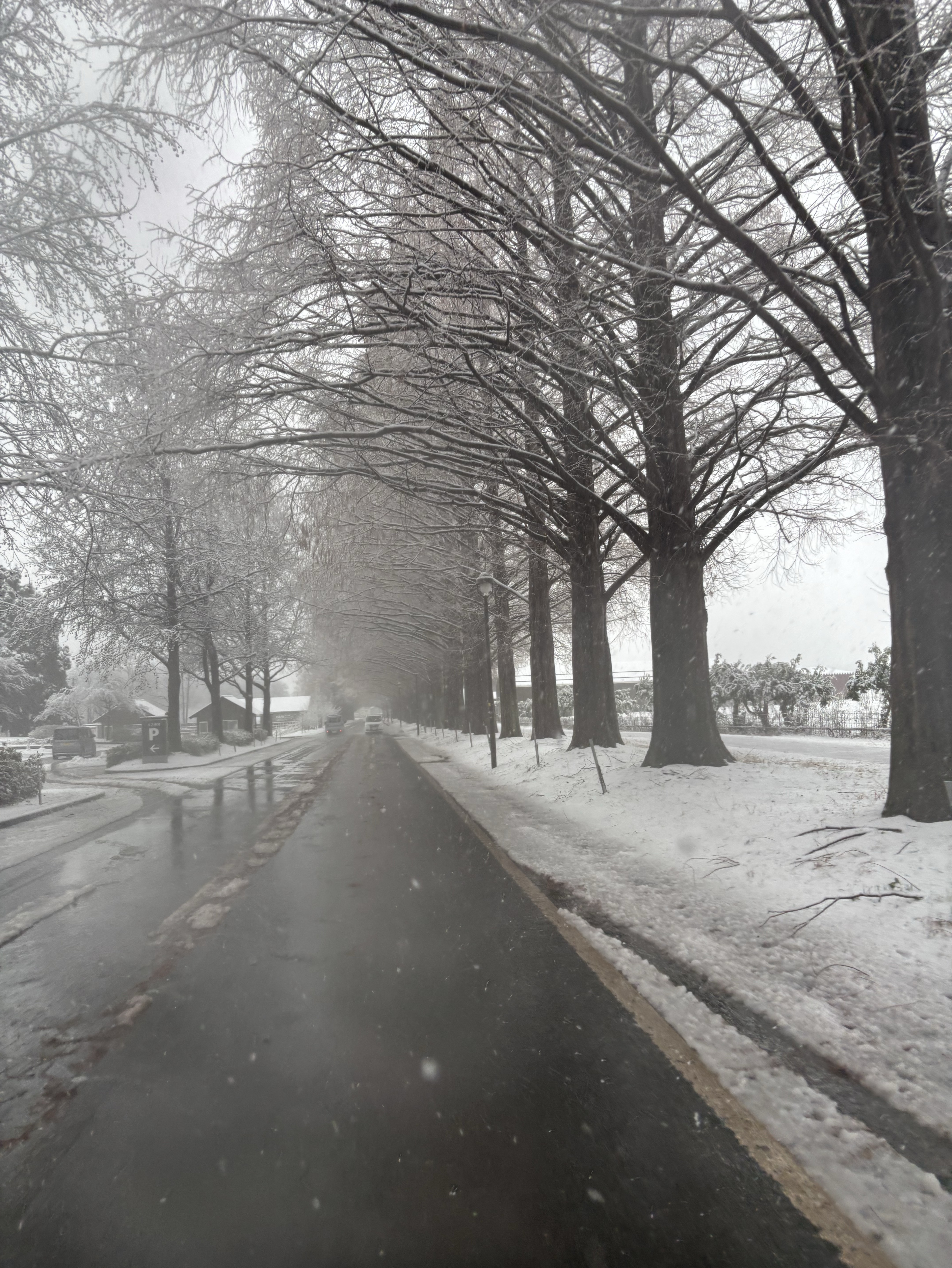 ひまだから雑談