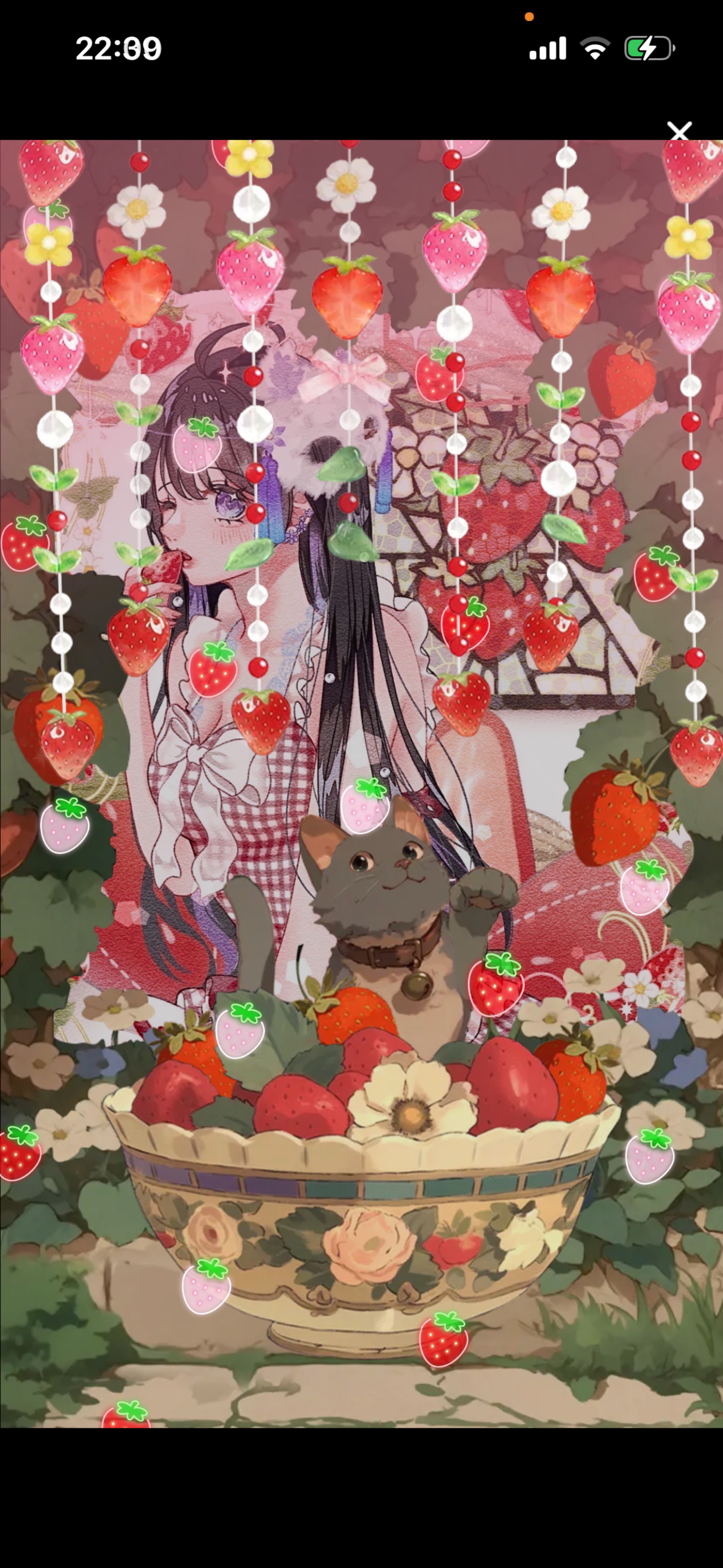 🍓ྀི博多弁女子のお喋り部屋🍓ྀི