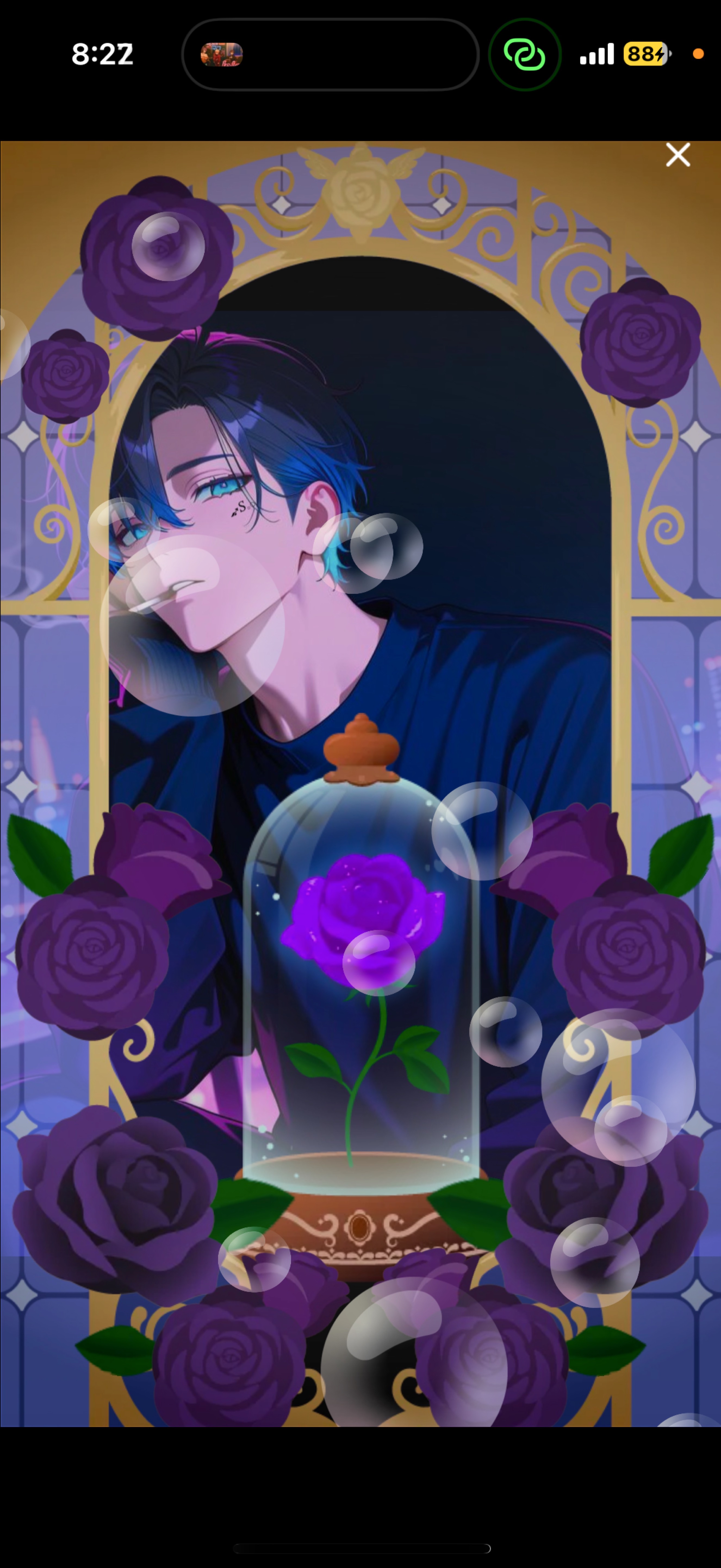 初寝潜〇おいで