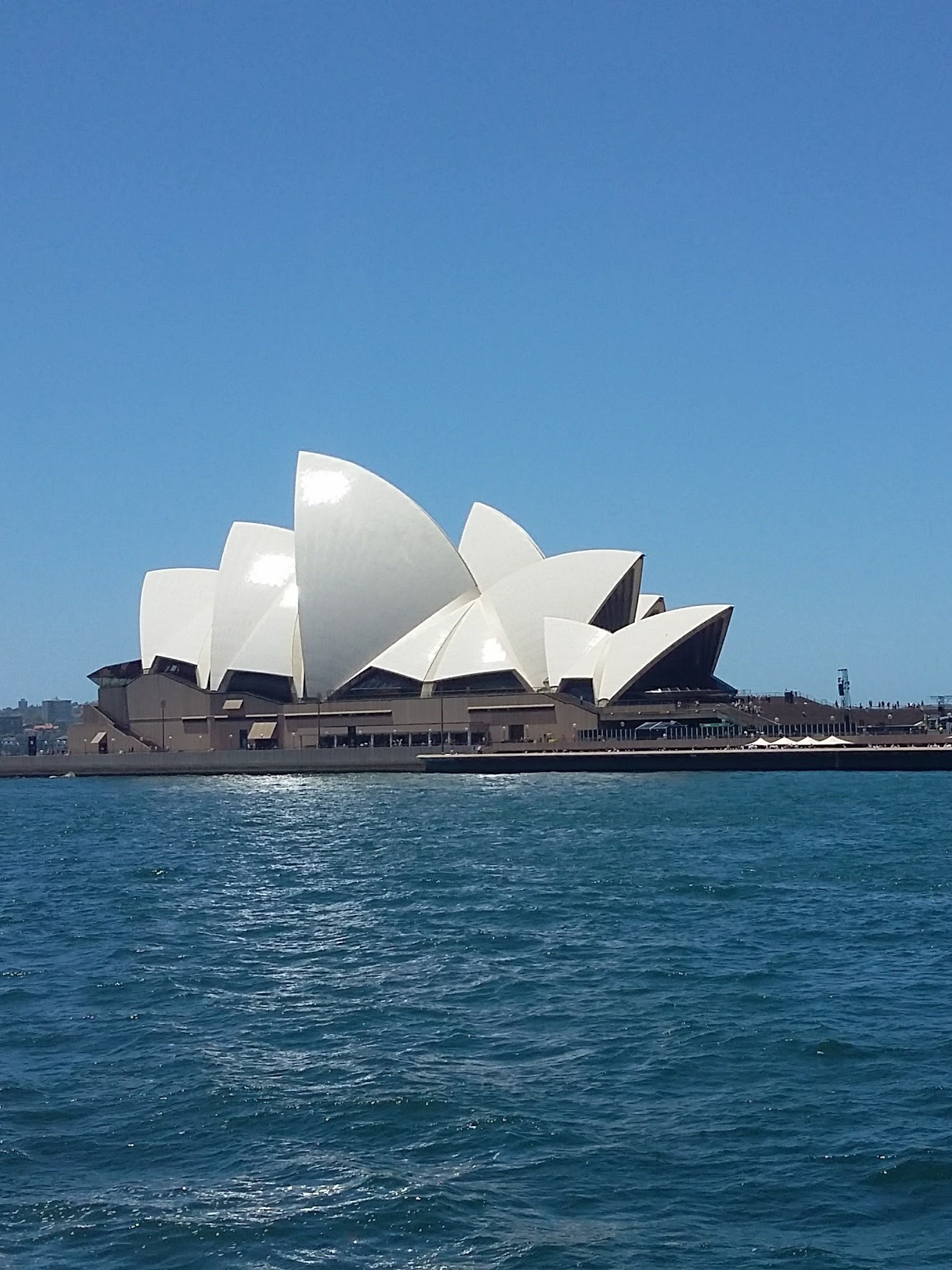 本当にありがとう　2月最後の悪あがき