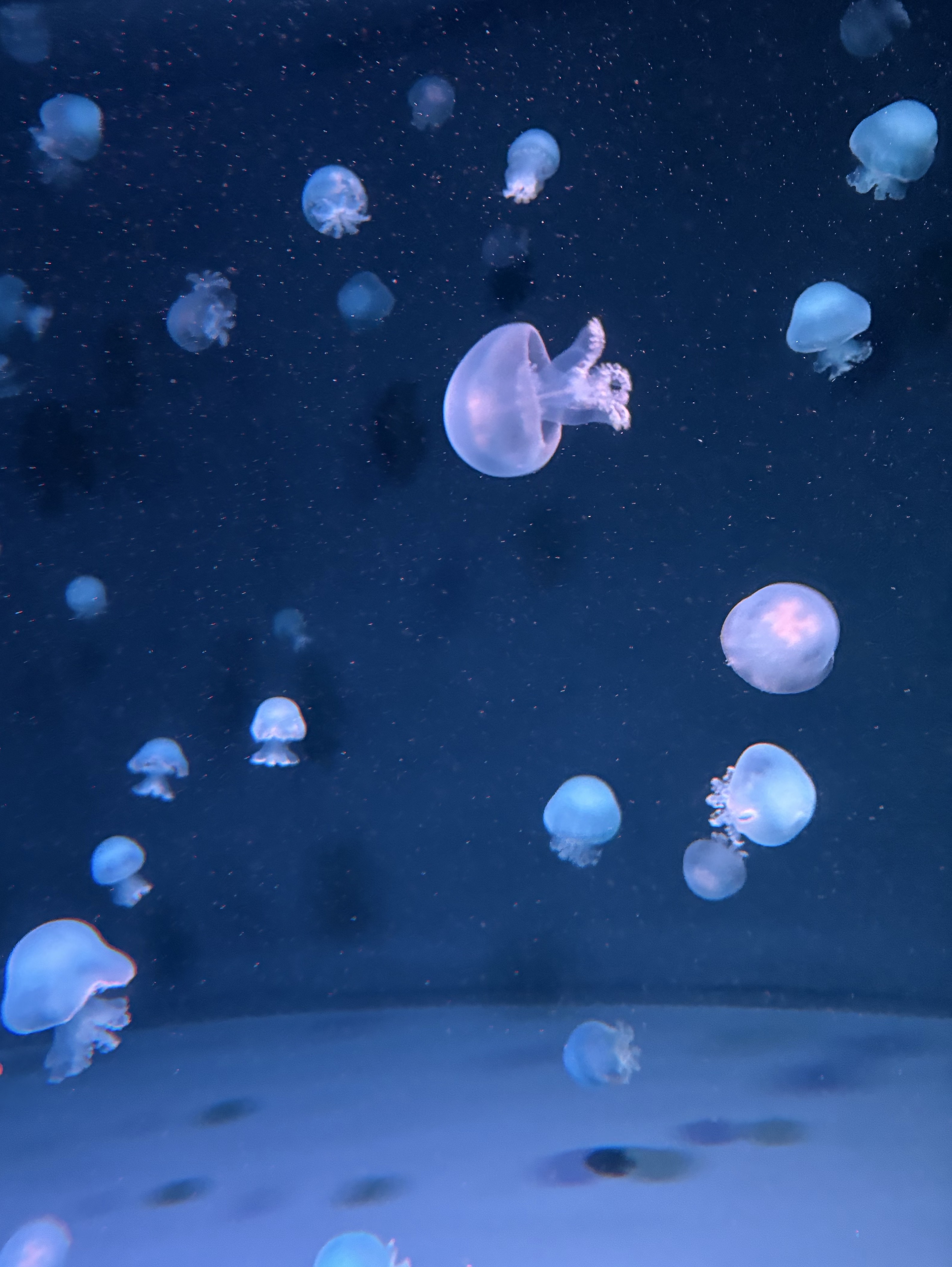 挨拶だけするガチ勉強