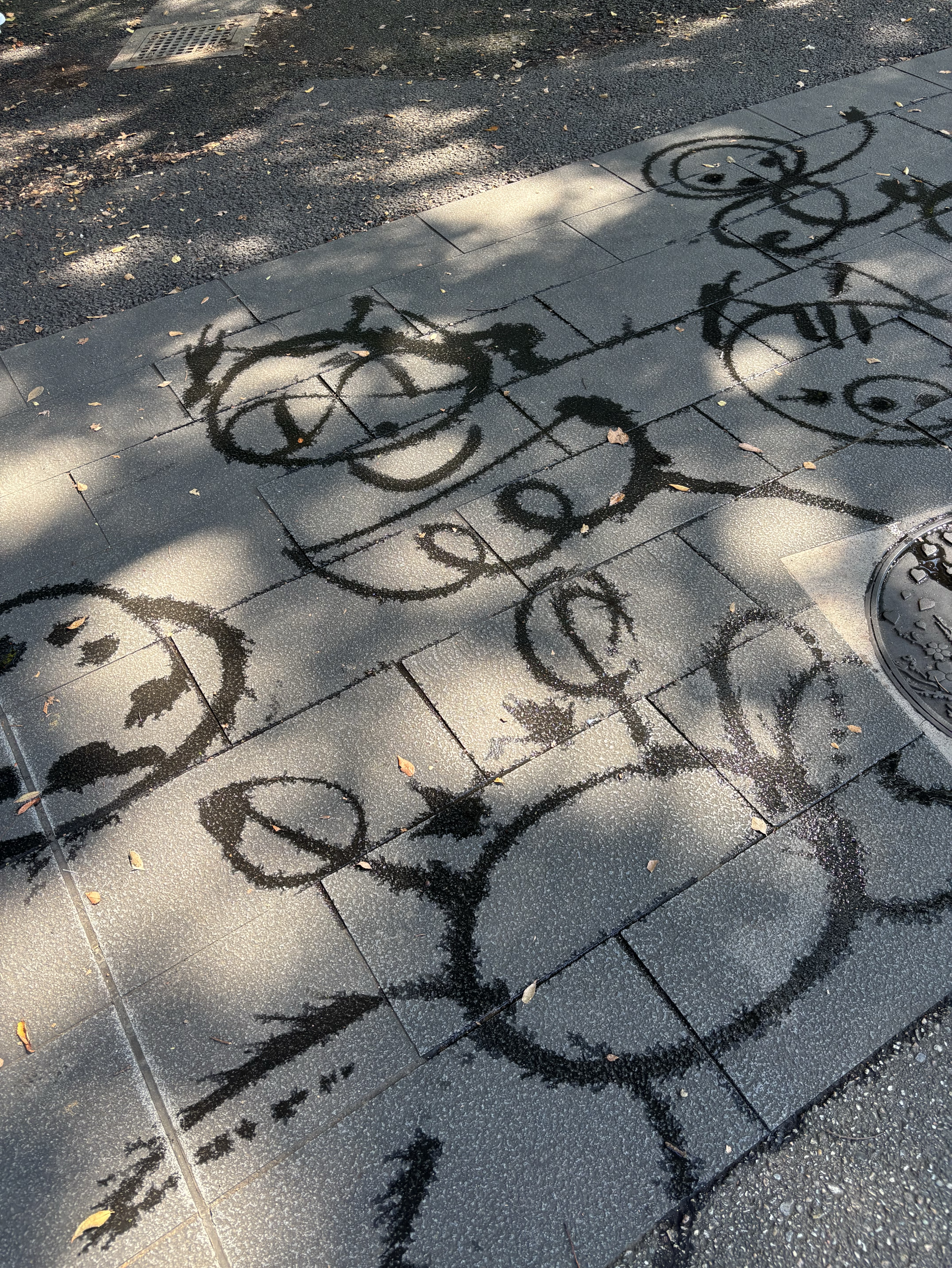 弾き語りをします