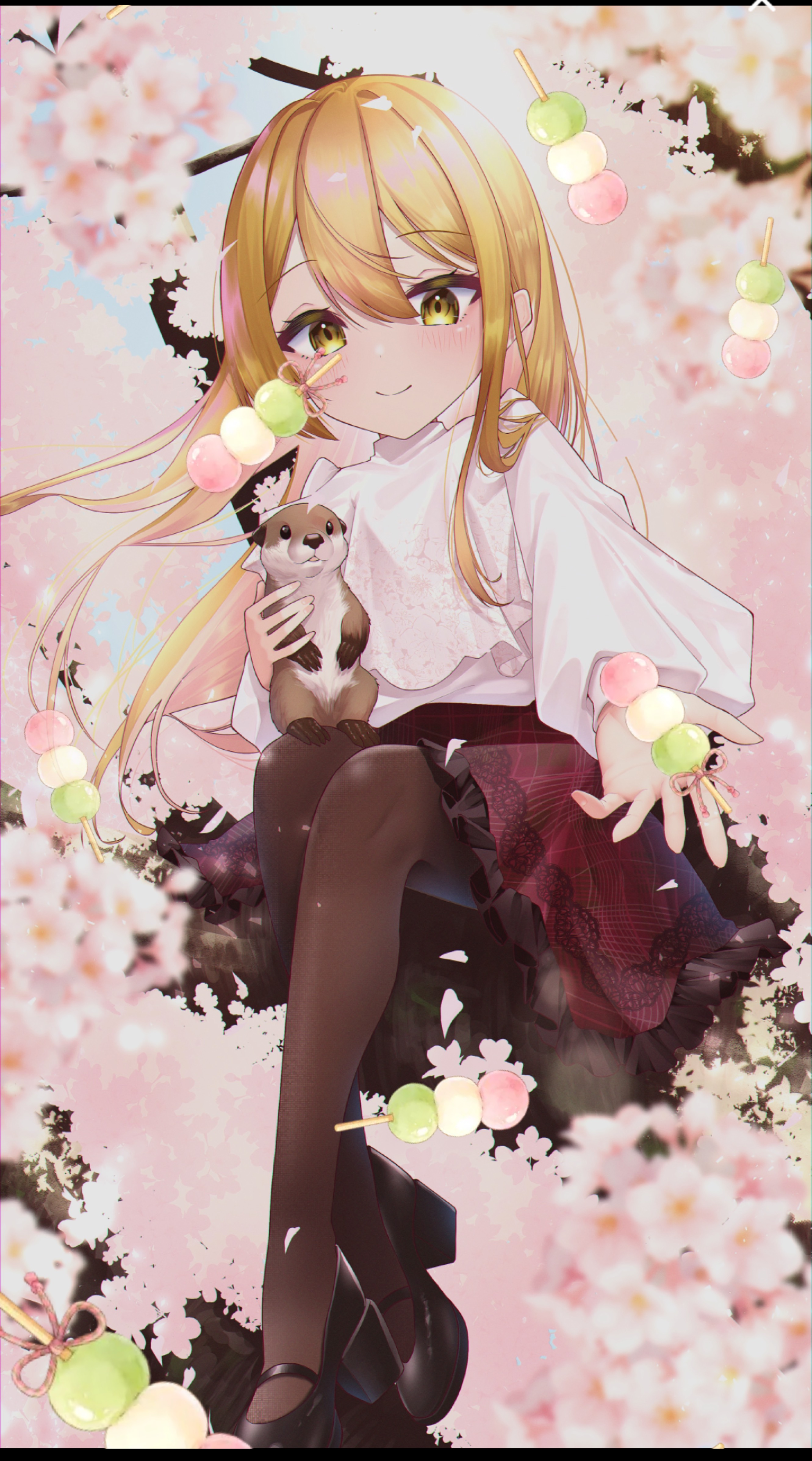 ここにお雛様がいます🙋‍♀️✨