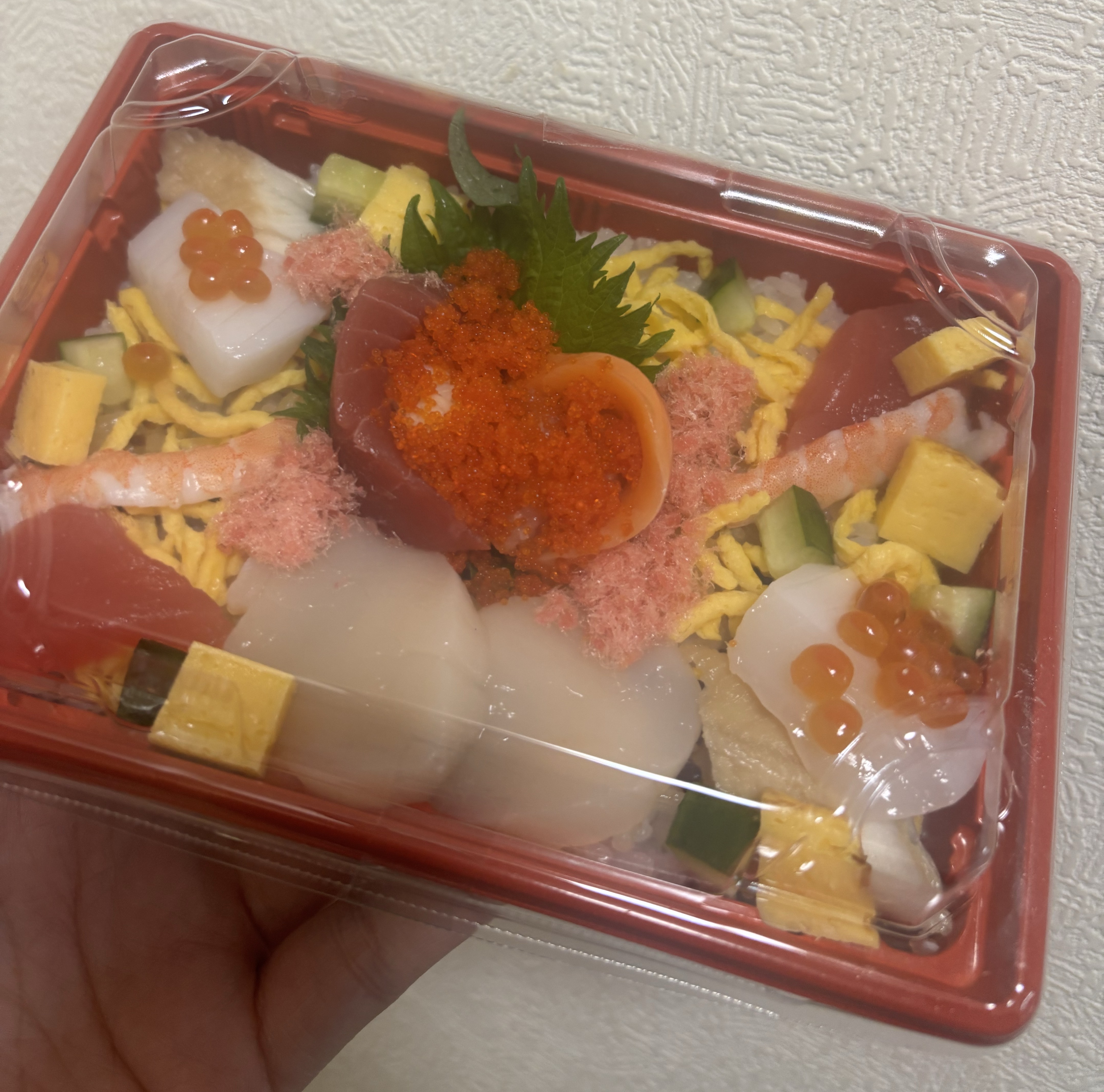 初潜◎のんびりおしゃべり🗣