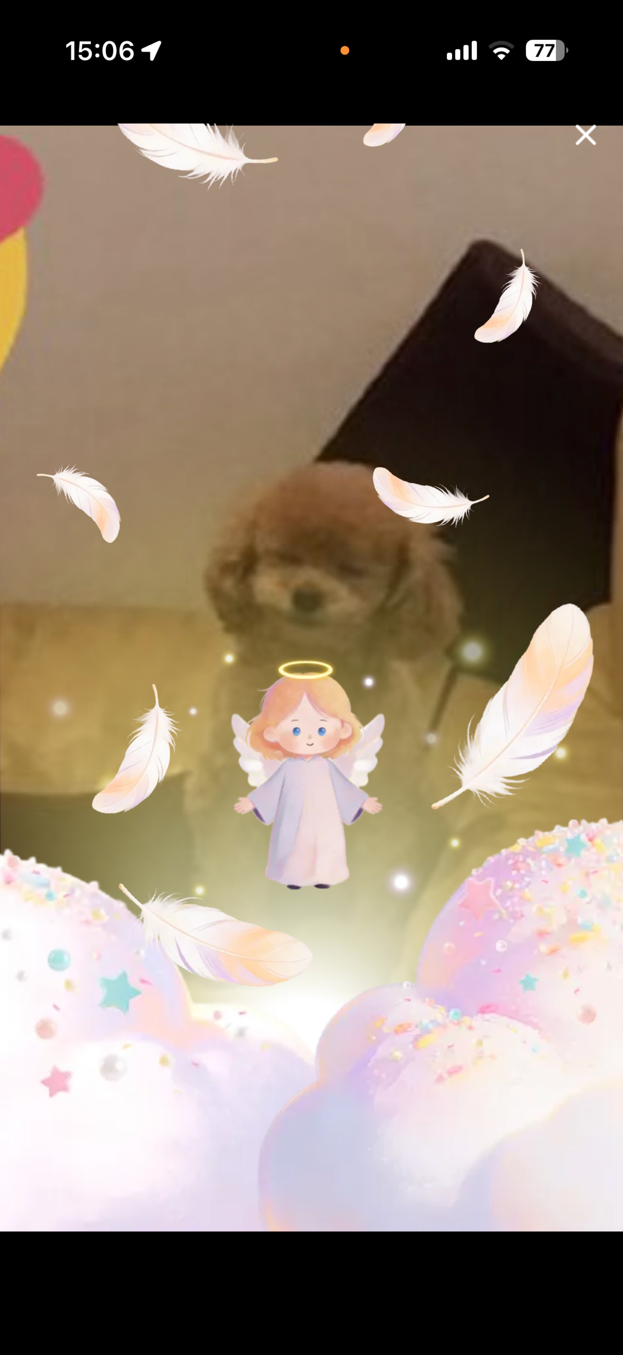 ハッピーな人です🪄︎︎✨