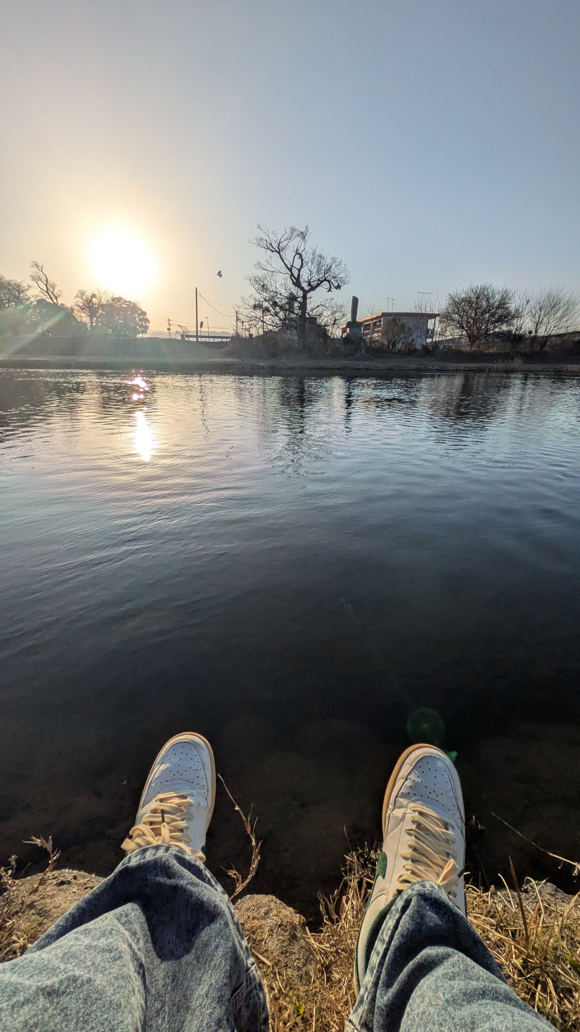 初◎ 枠主も寝落ちしちゃう枠。