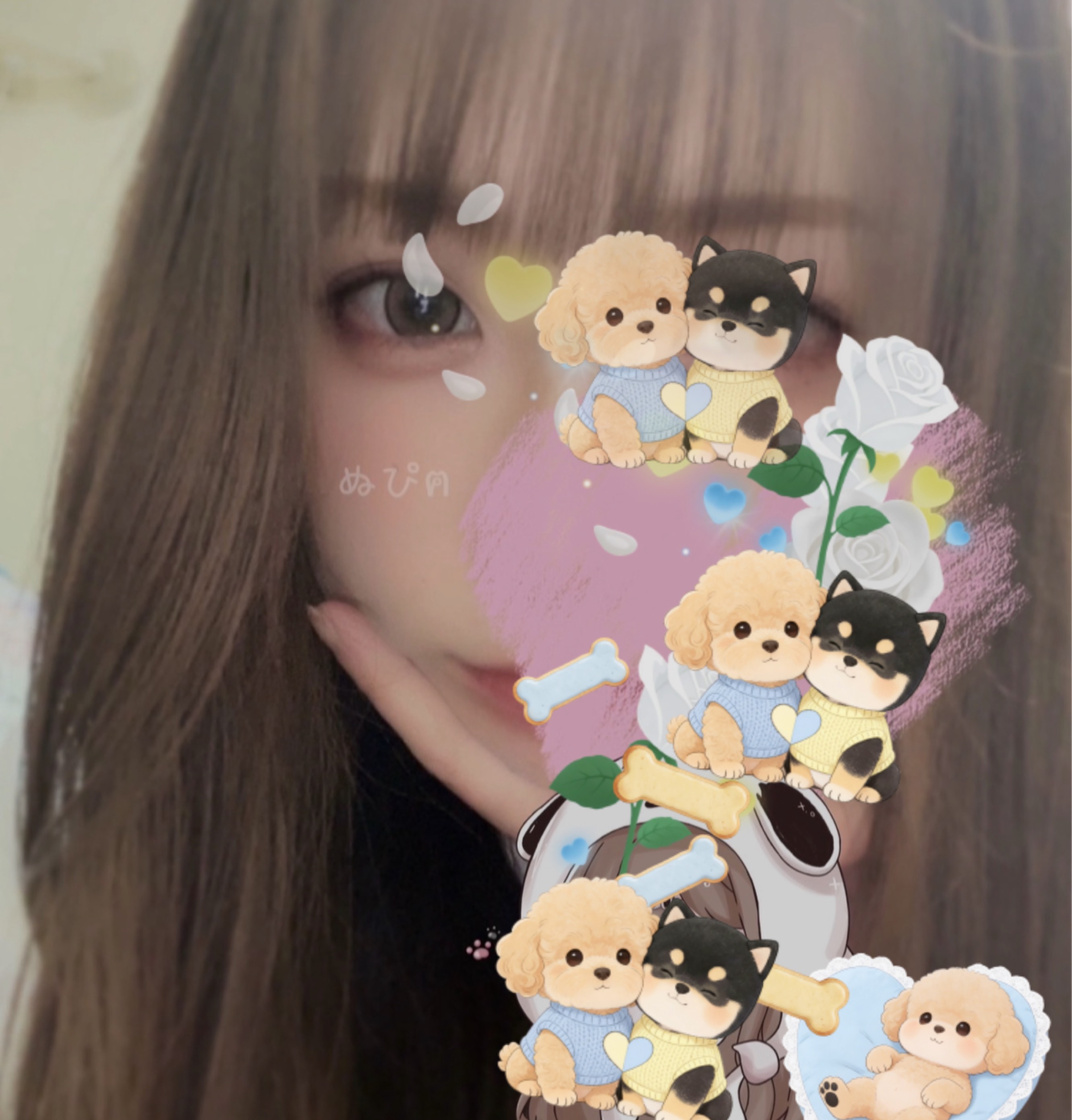 初潜寝◎ 寝落ちてく？ฅ