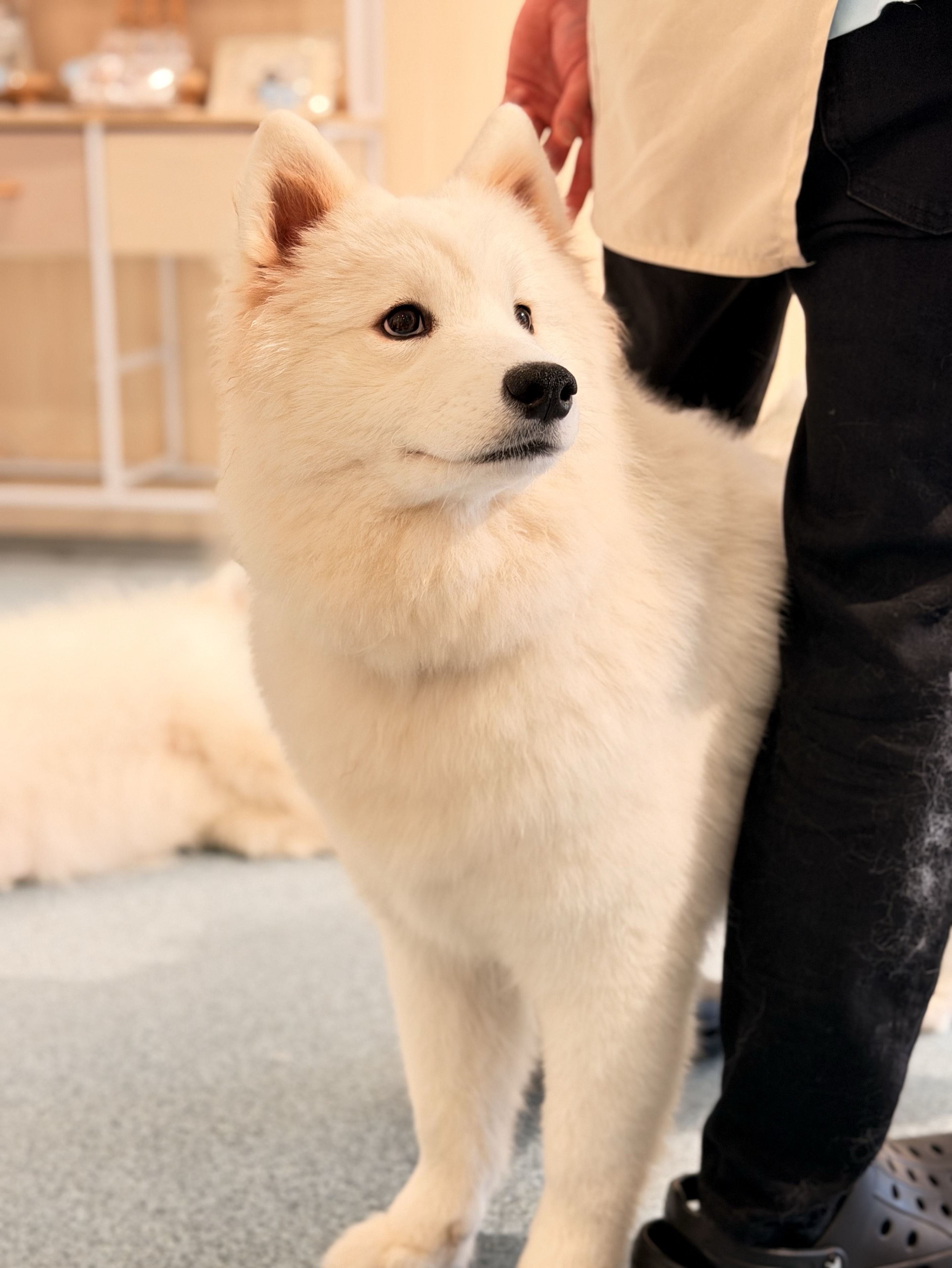  ︎︎𝟷番目に落ち着く枠 ︎︎