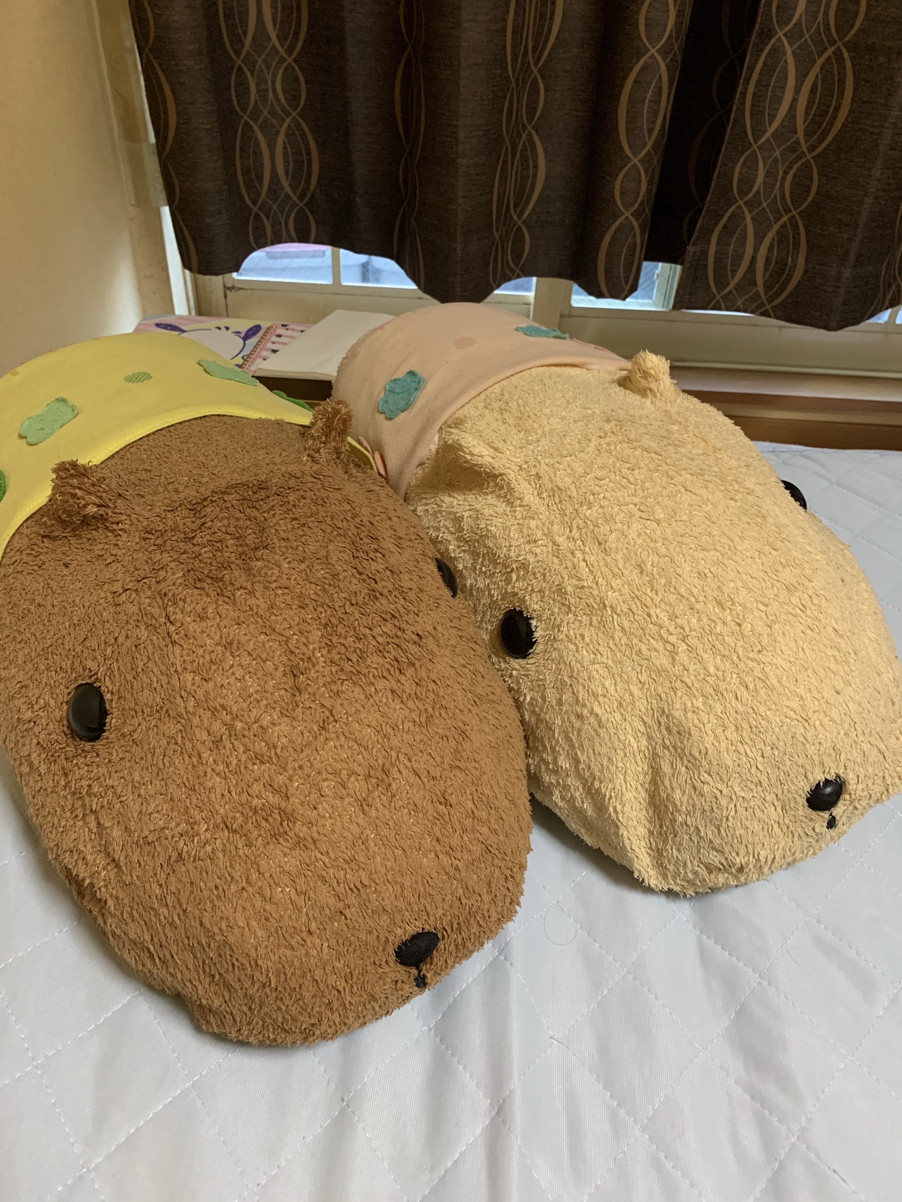 おやすみです。ヒマ😁