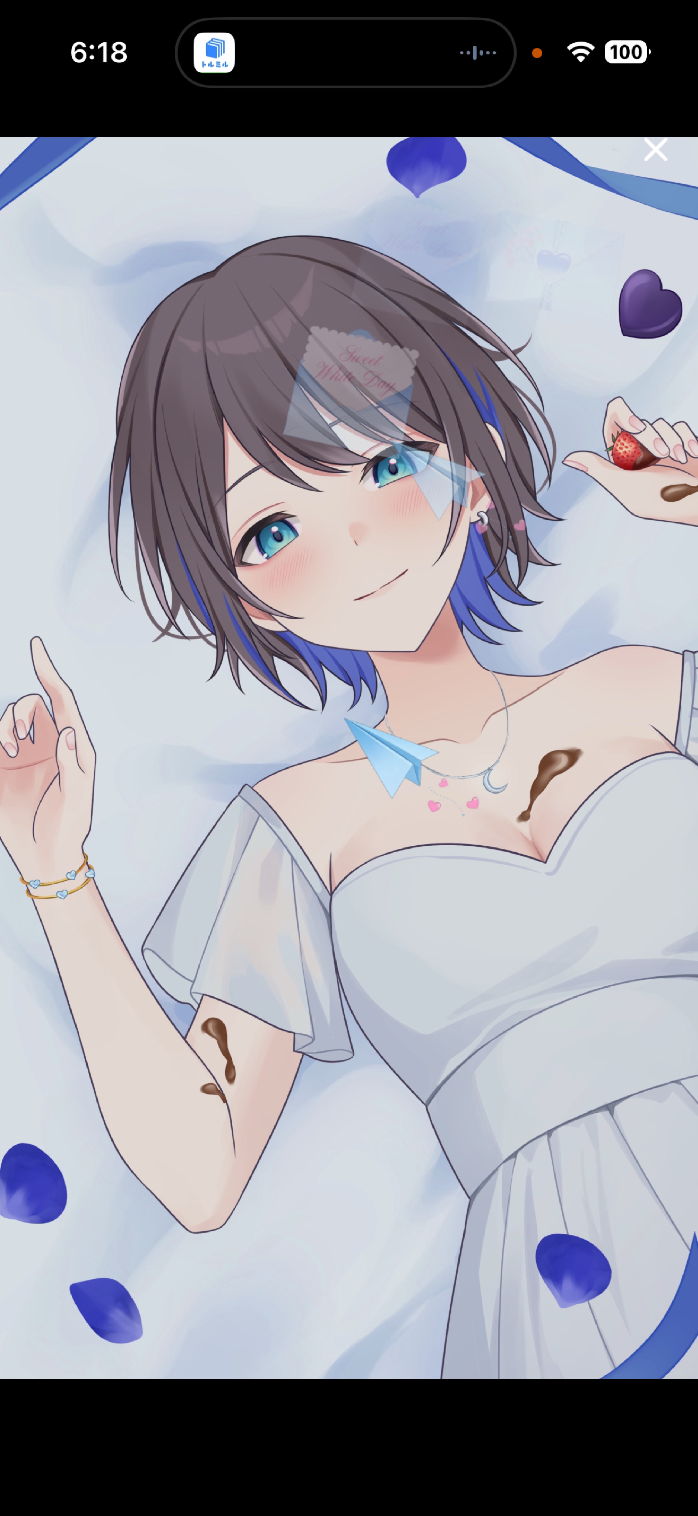 まったり中低音￤8:00まで☀️🌿‬