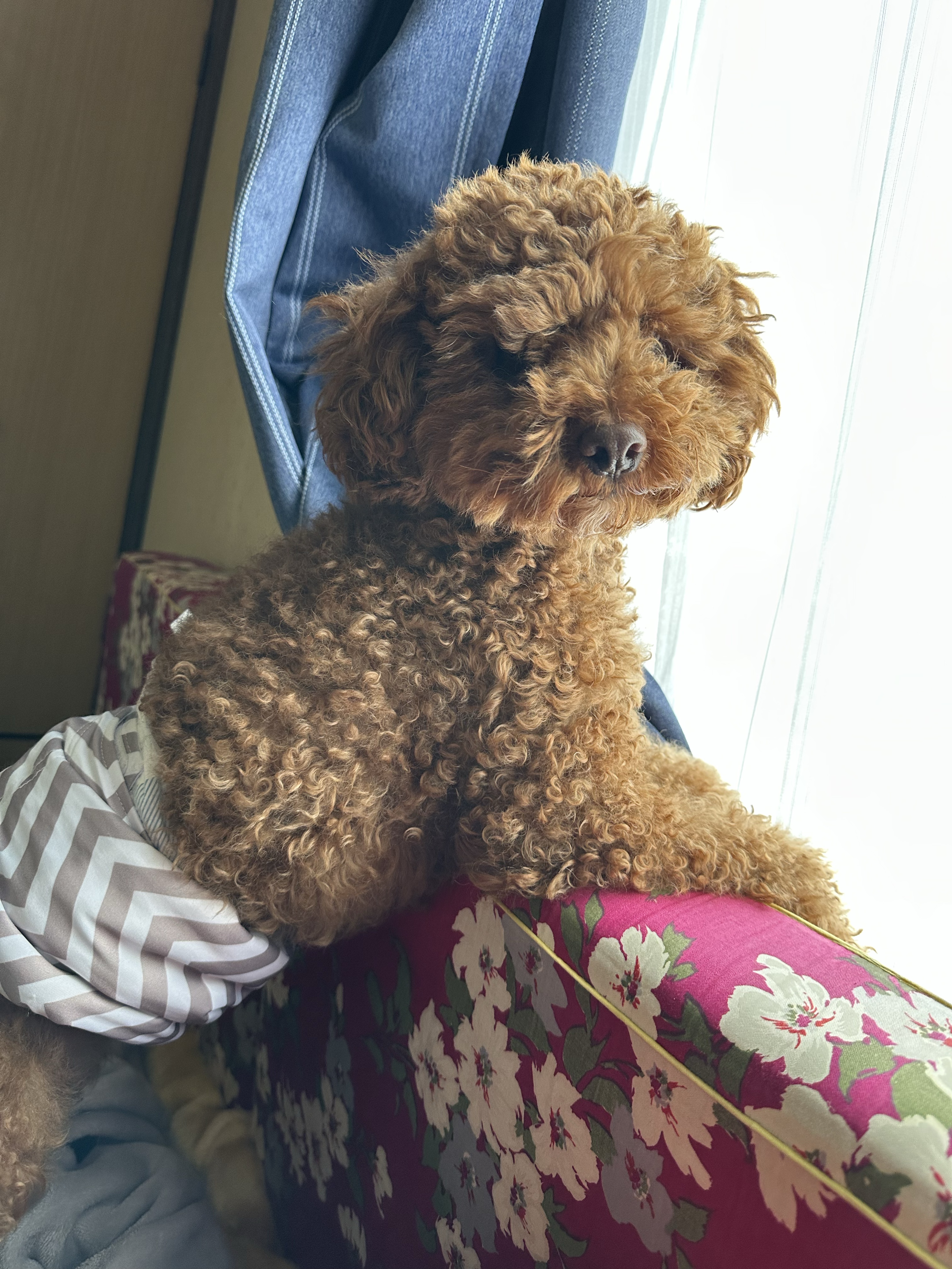 コラボ枠ーのんびりすぎる枠っ☀️*ﾟ