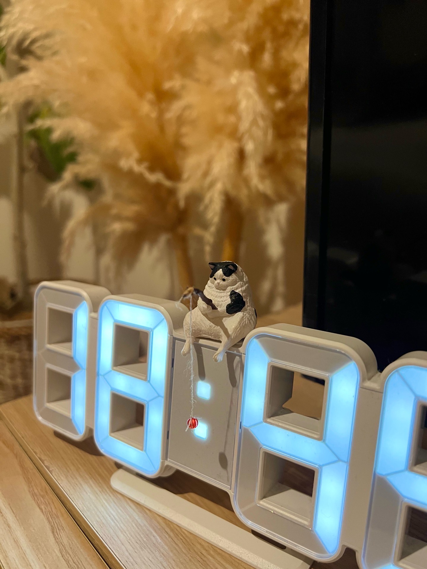 アラサー弾き語らない🎤