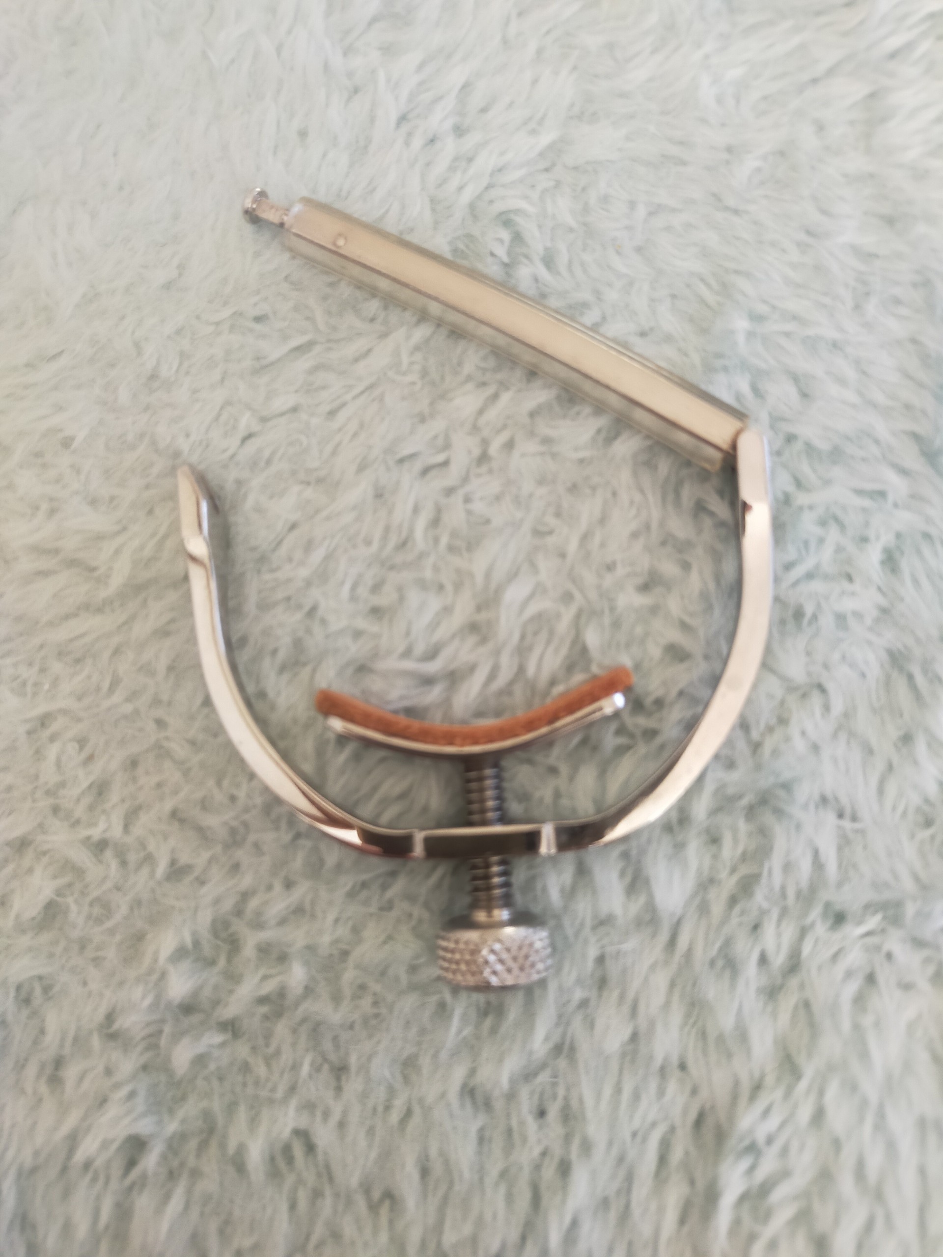 作業  コラボ可