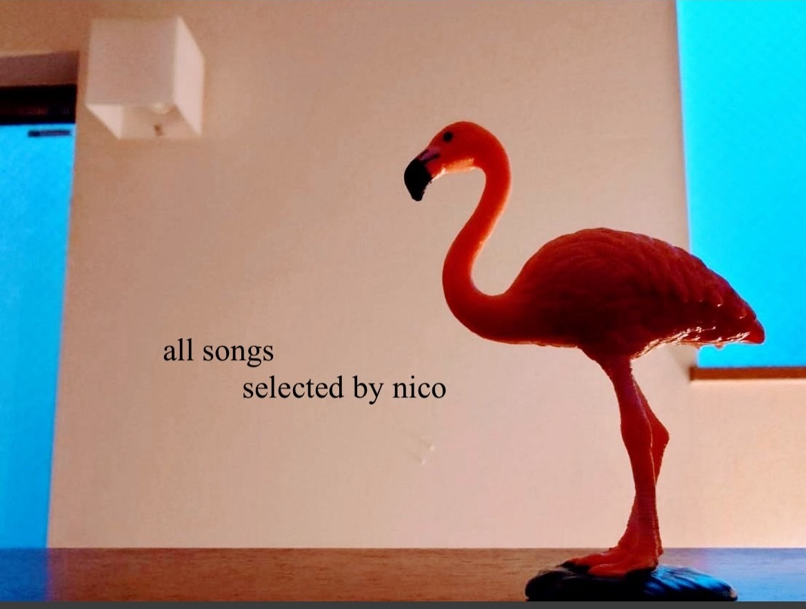 ゆったり昼飲みコラボ　初見さん