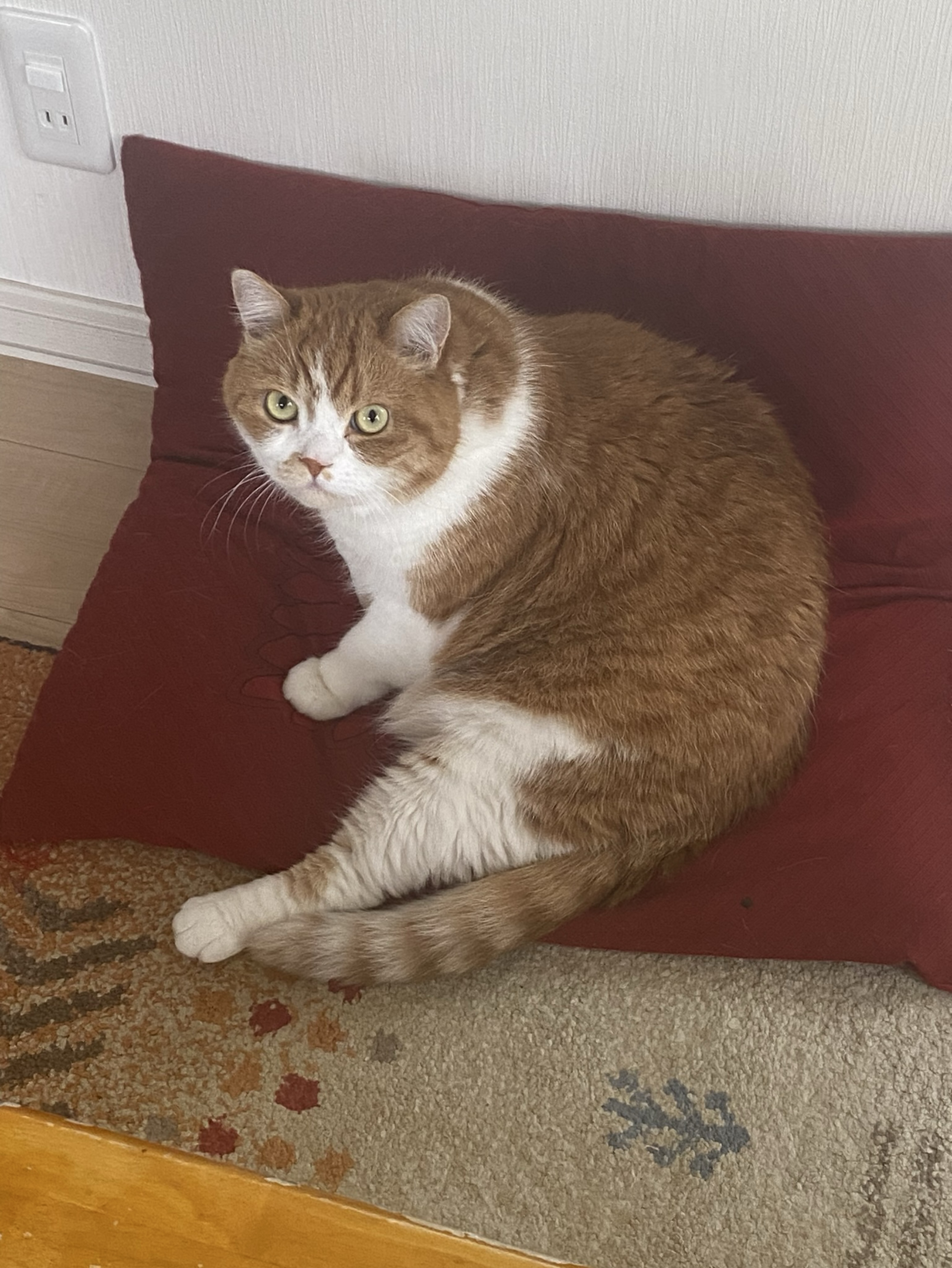 ひまだー話し相手欲しい